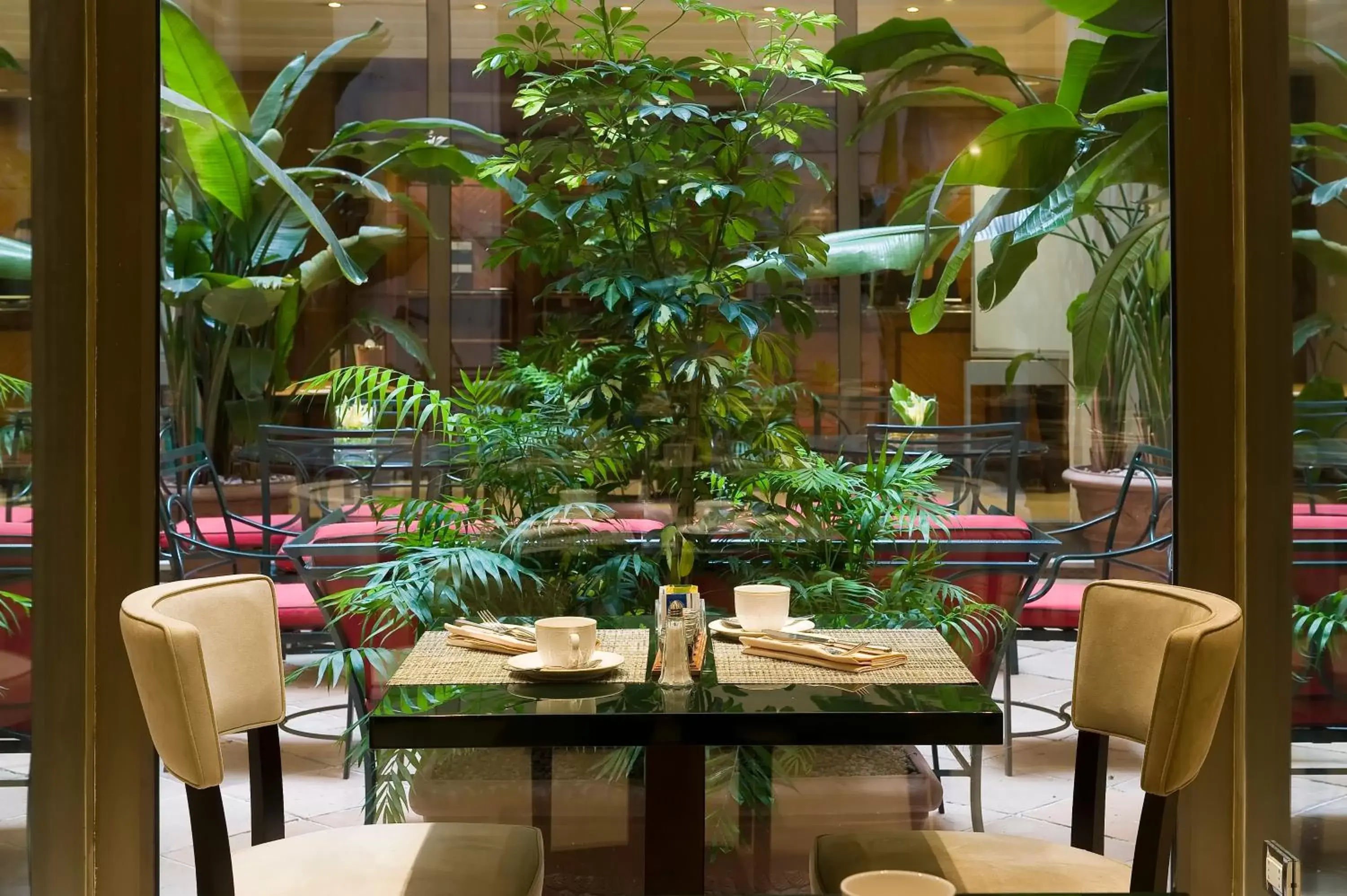 Garden, Restaurant/Places to Eat in Hotel dei Mellini