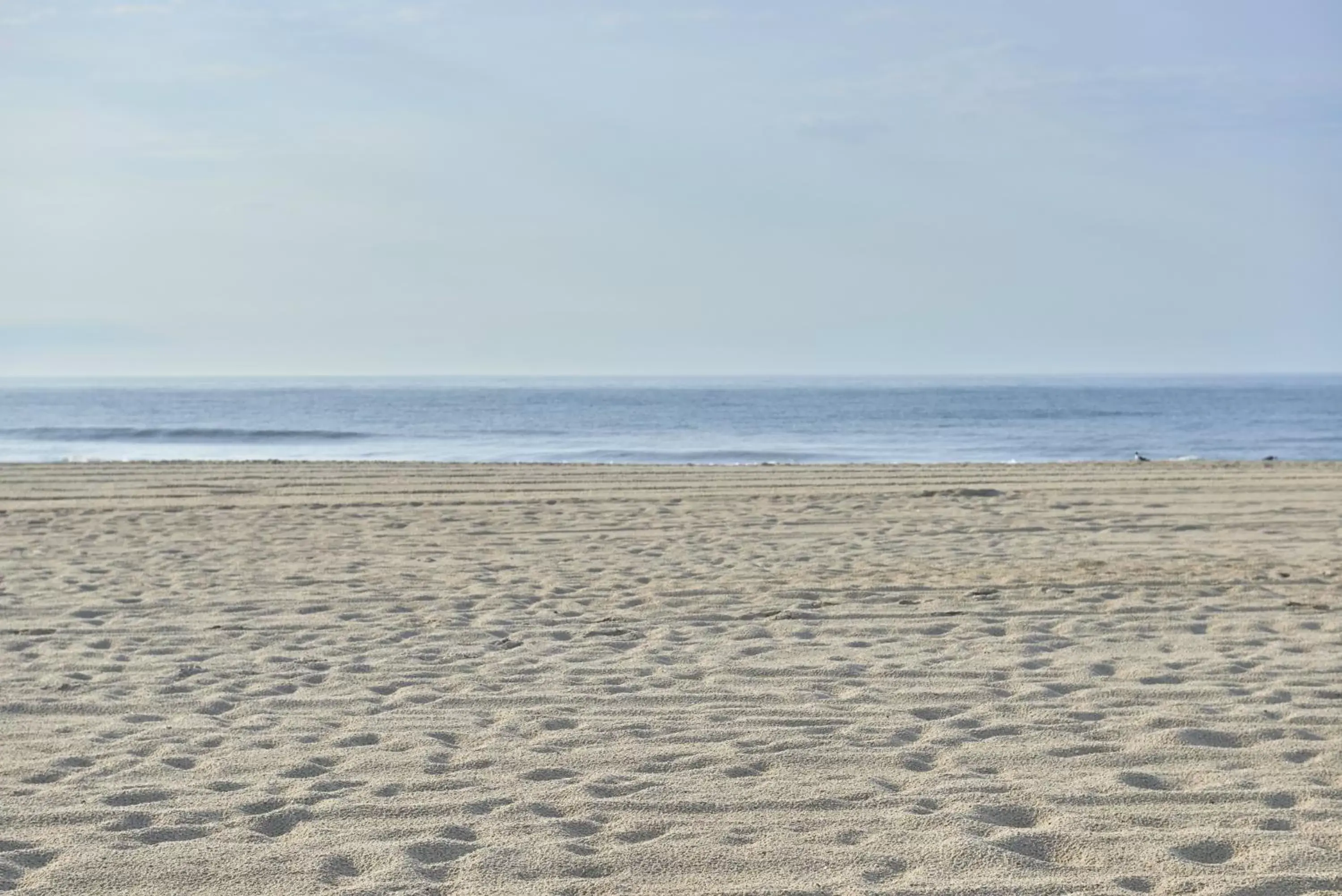 Beach in Drifting Sands Oceanfront Hotel