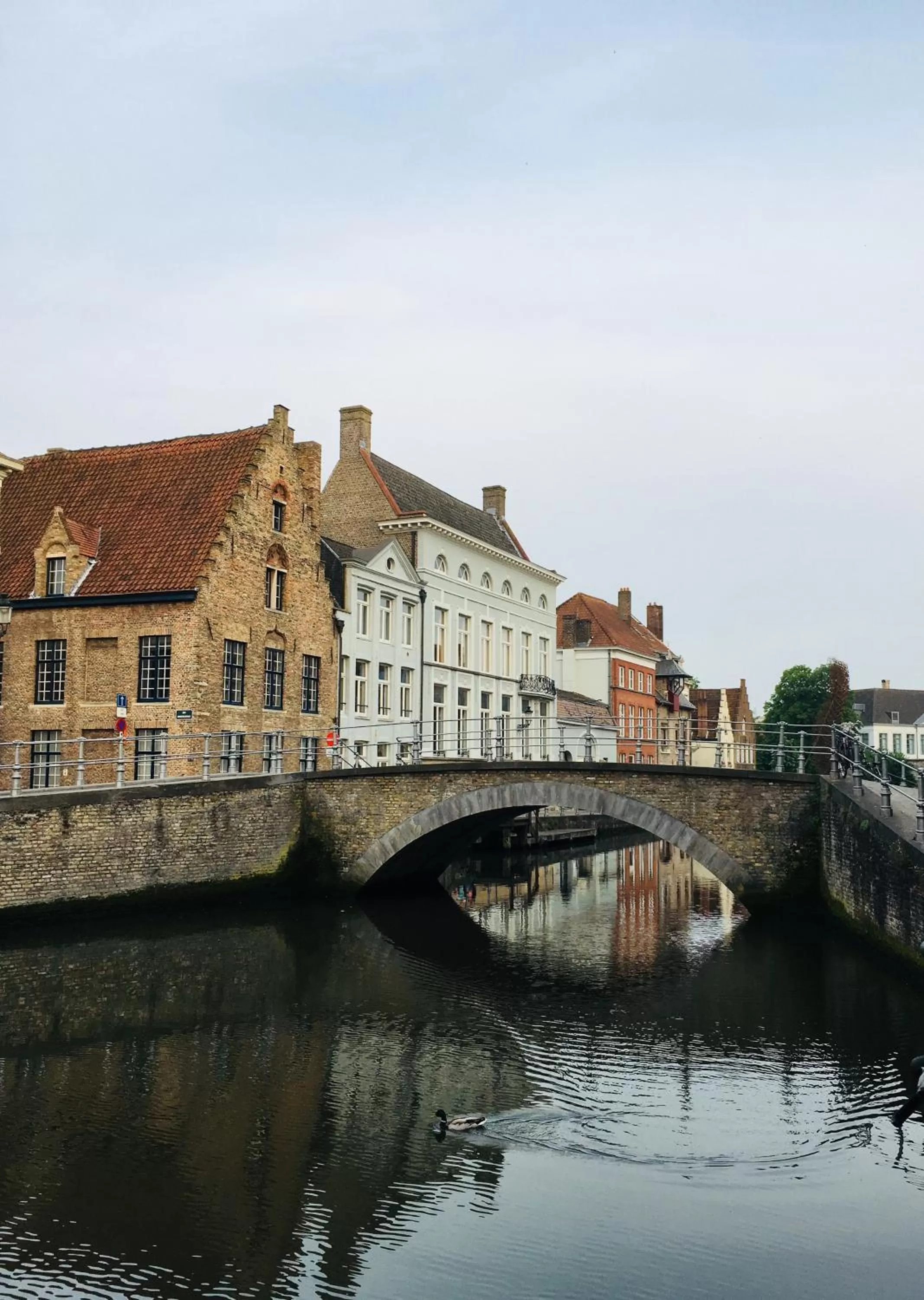 City view in Enroute367