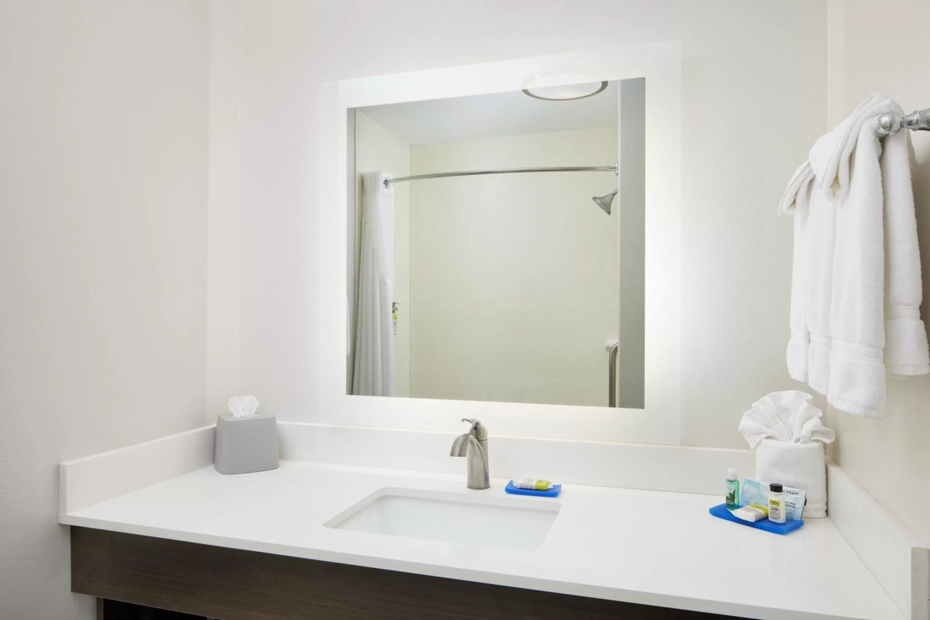 Bathroom in Holiday Inn Express & Suites - Valdosta by IHG
