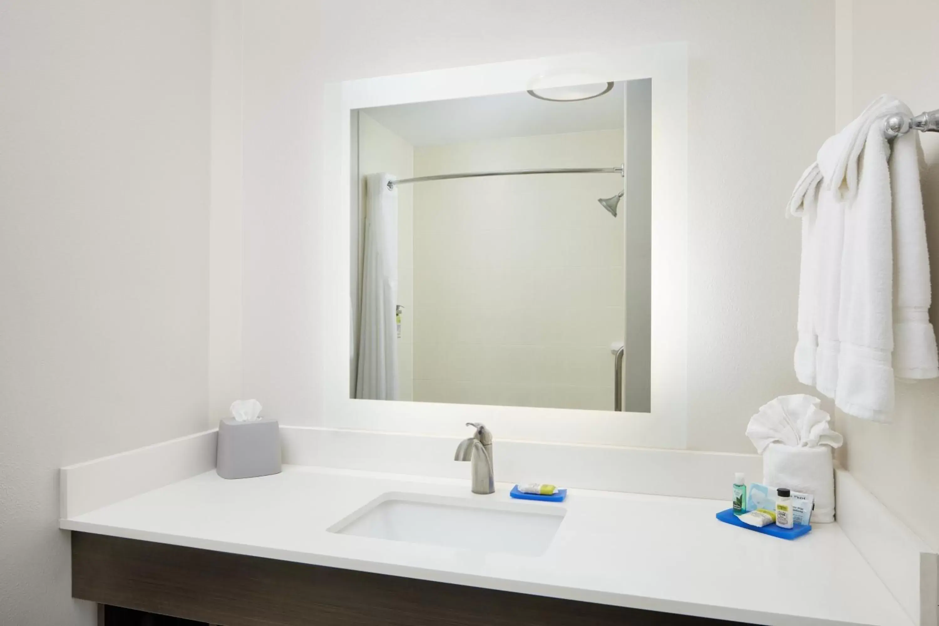 Bathroom in Holiday Inn Express & Suites - Valdosta, an IHG Hotel