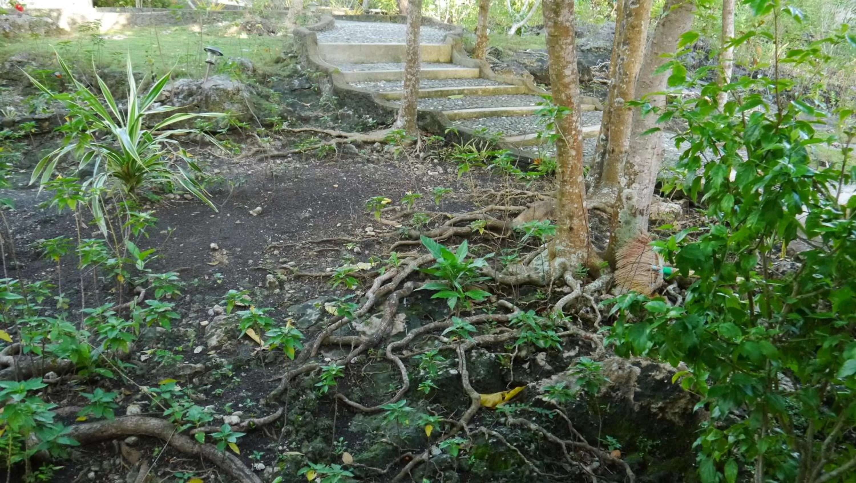 Garden in Moalboal T Breeze Coastal Resort