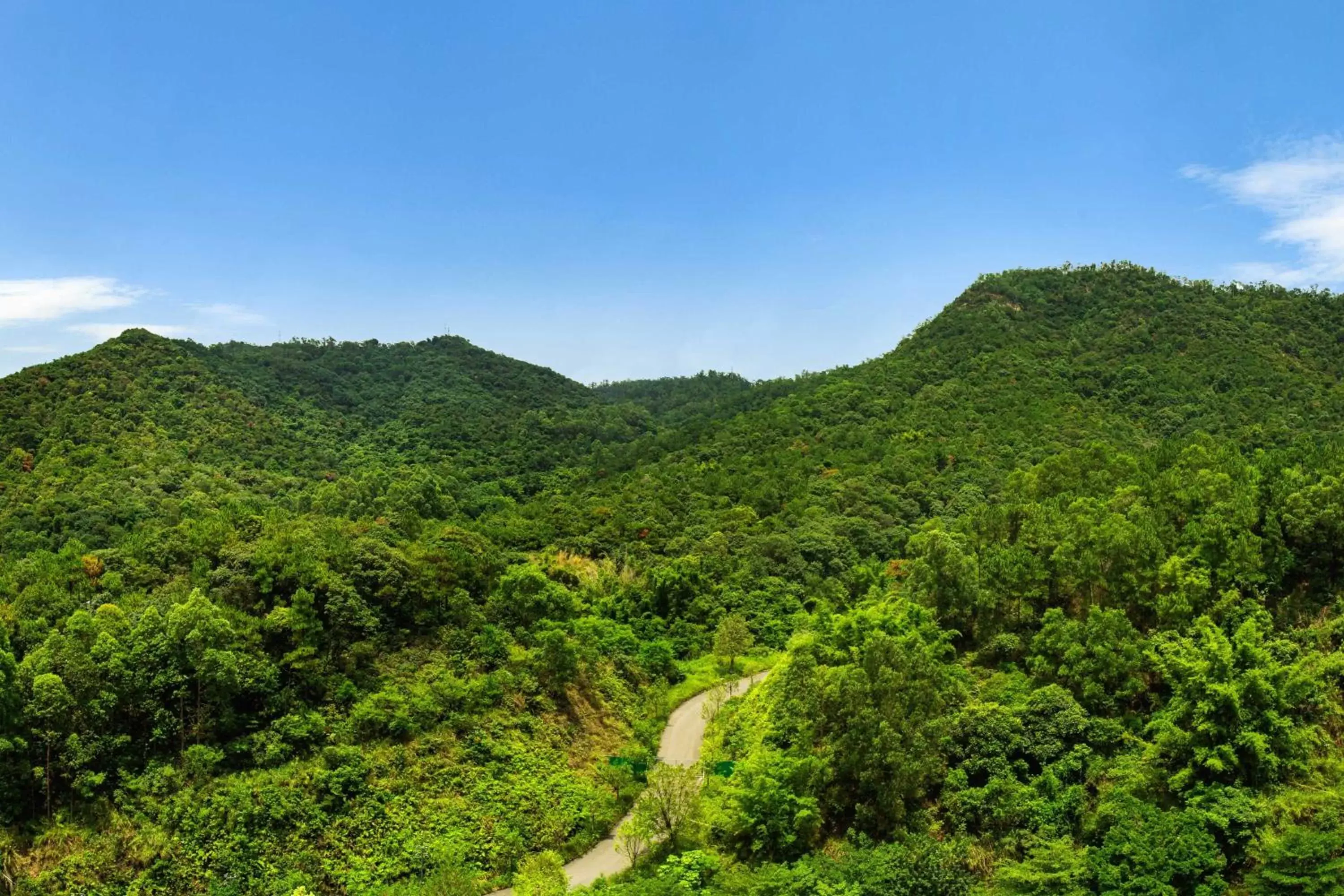 Photo of the whole room, Natural Landscape in Four Points by Sheraton Guangdong, Heshan