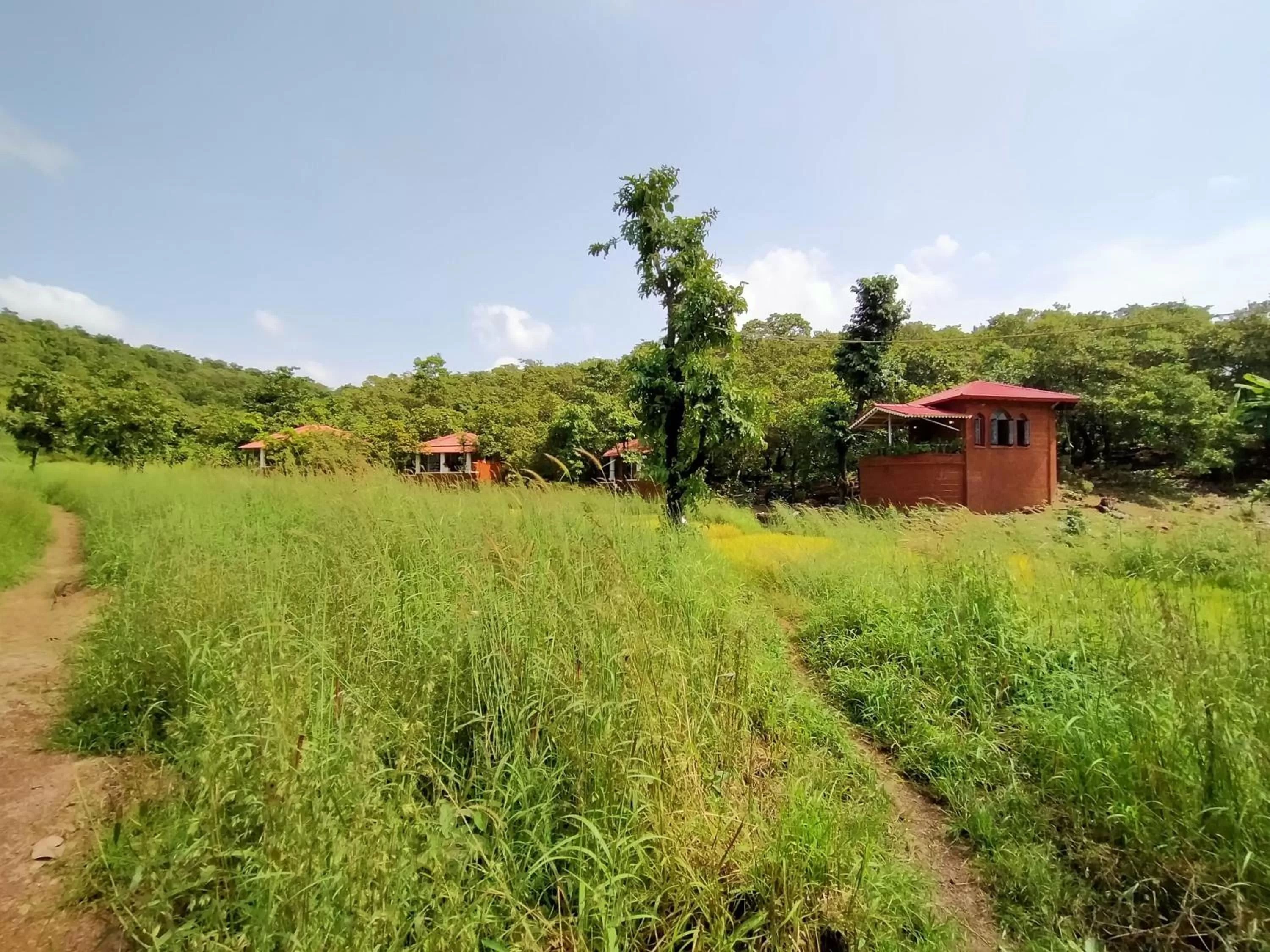 Natural landscape in Porsu