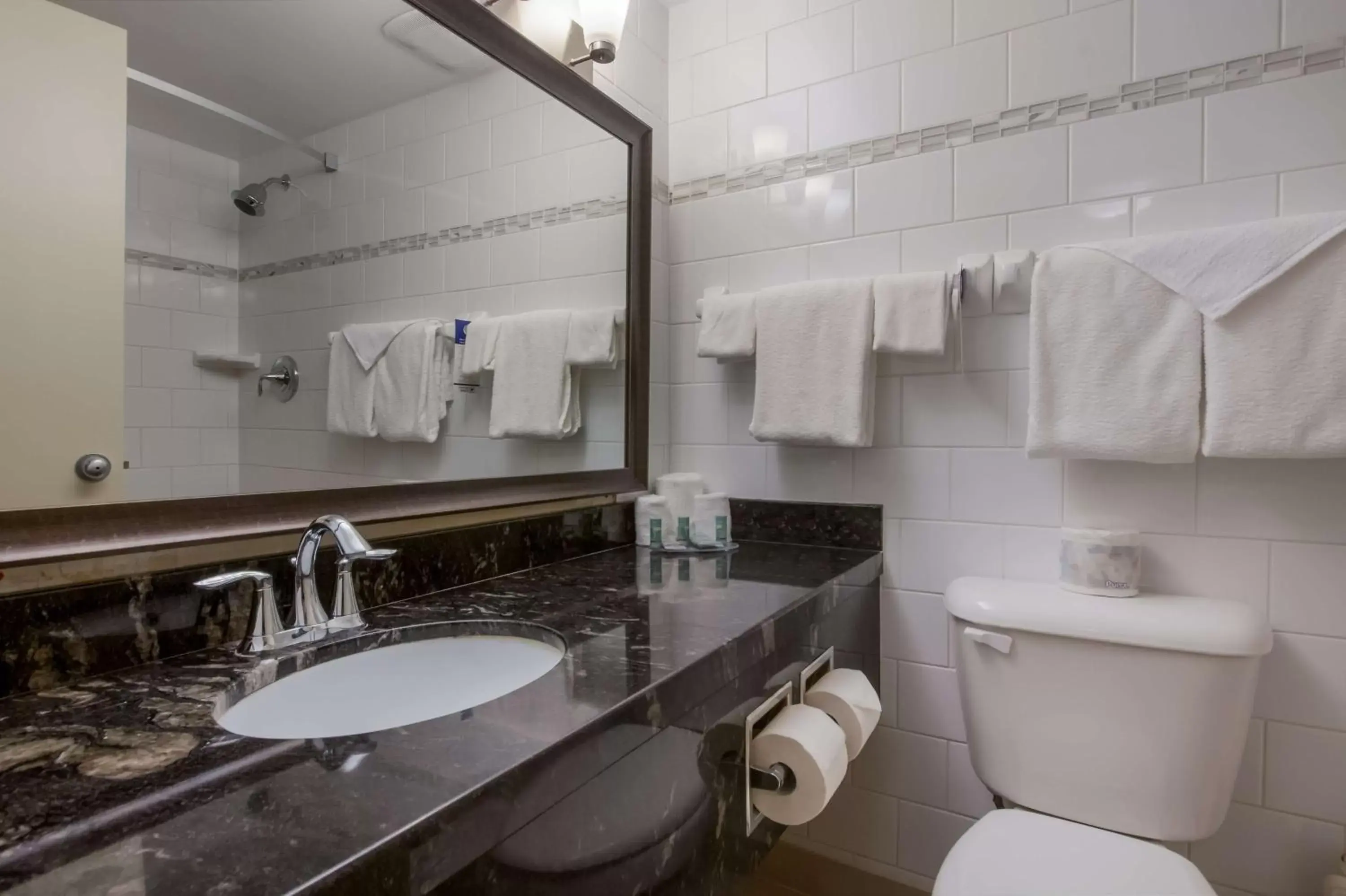 Bathroom in Best Western Brantford Hotel and Conference Centre