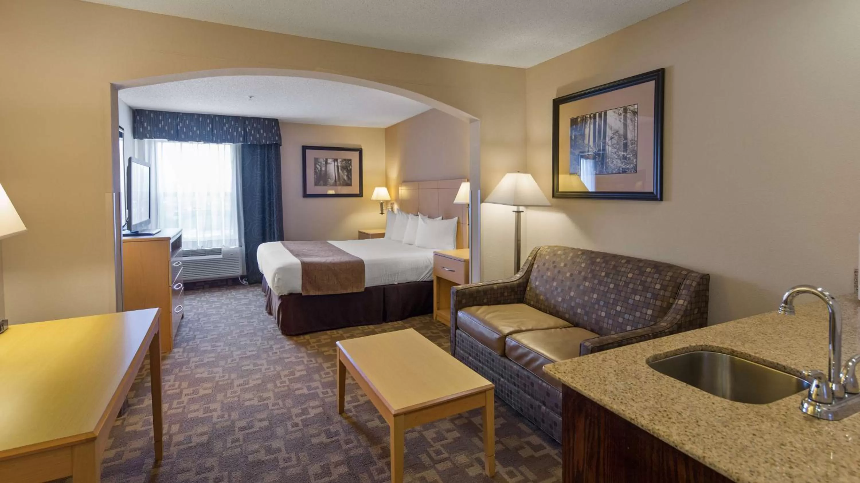 Photo of the whole room in SureStay Plus Hotel by Best Western Roanoke Rapids I-95