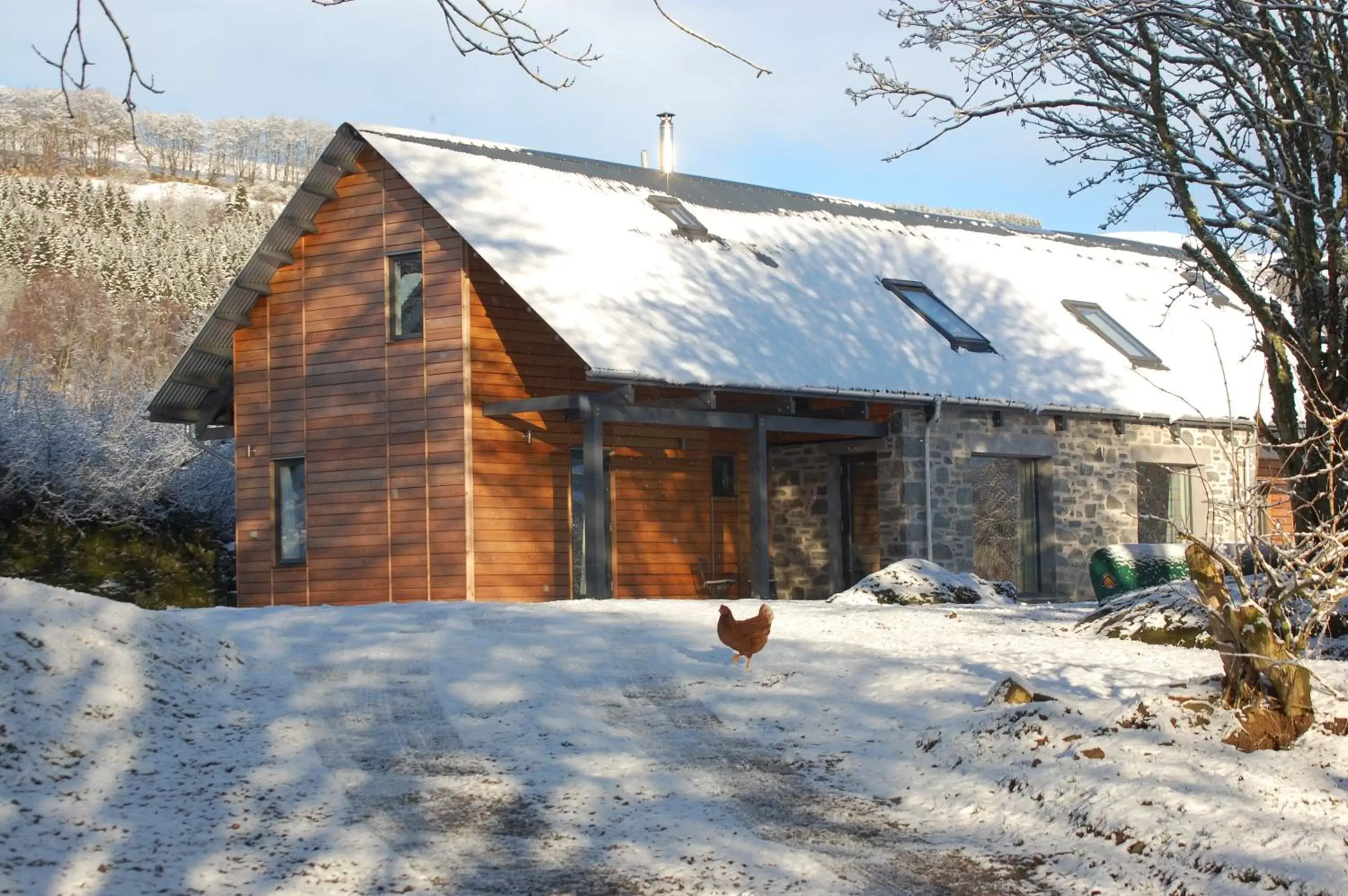 Property building, Winter in The Steading