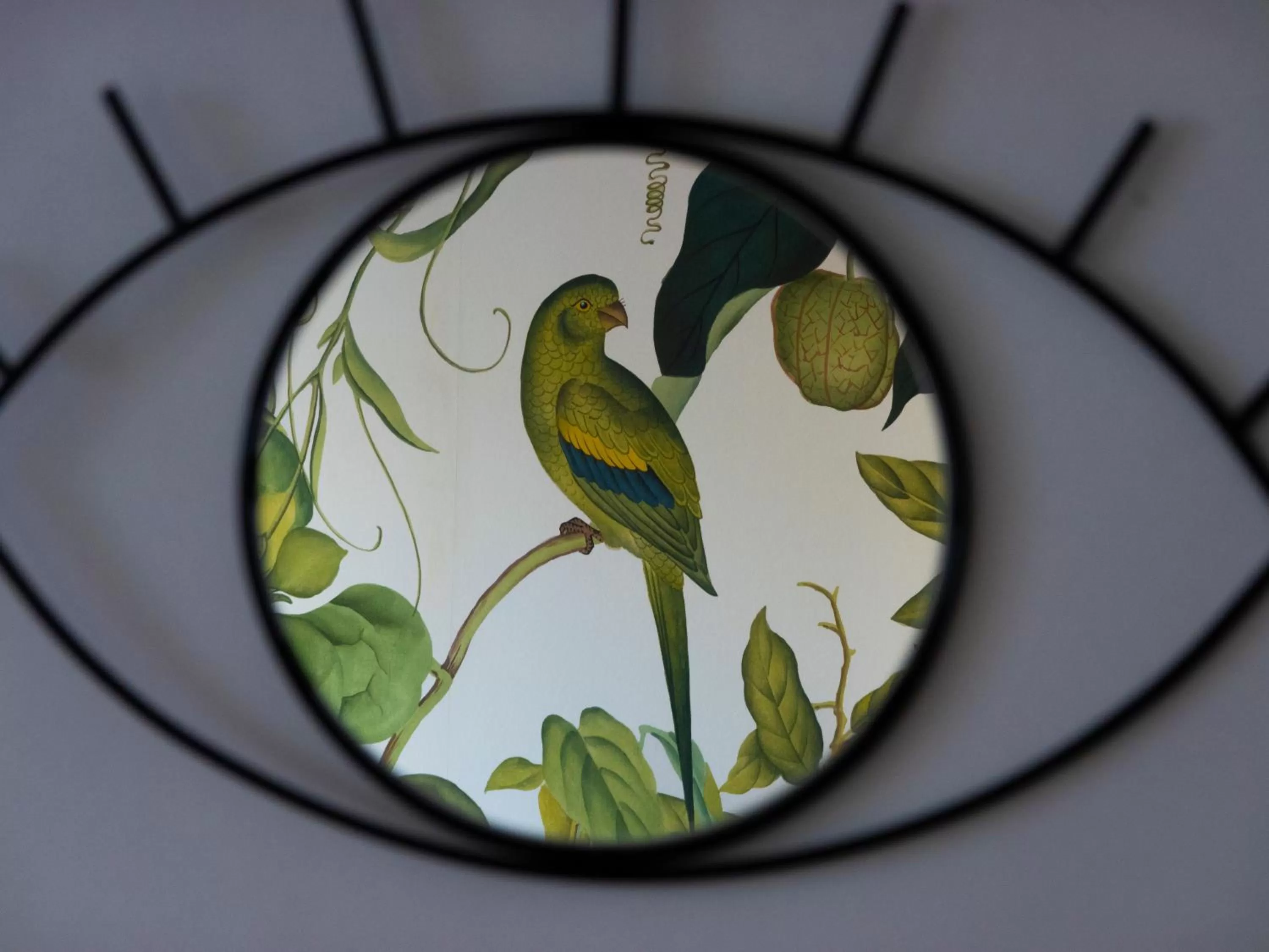 Bed in Pájaro Rebelde