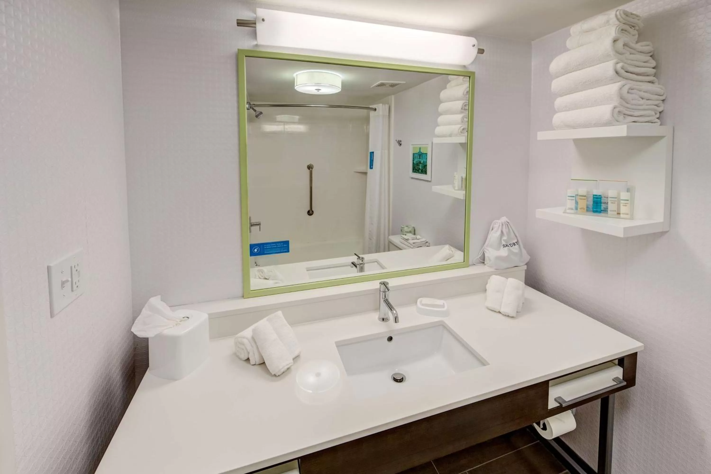 Bathroom in Hampton Inn Batesville