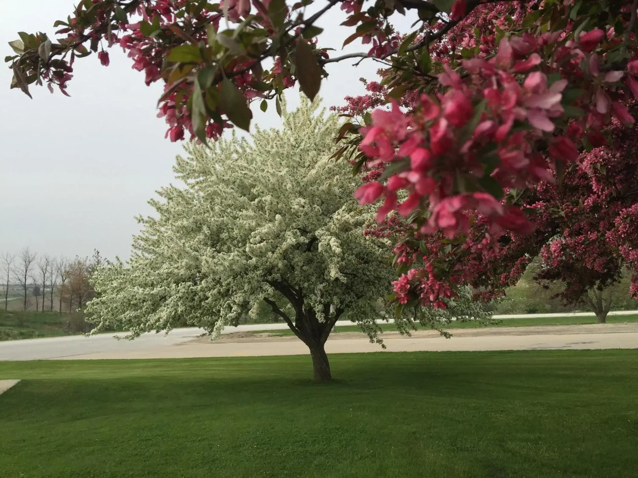 Spring, Garden in Crest Country Inn