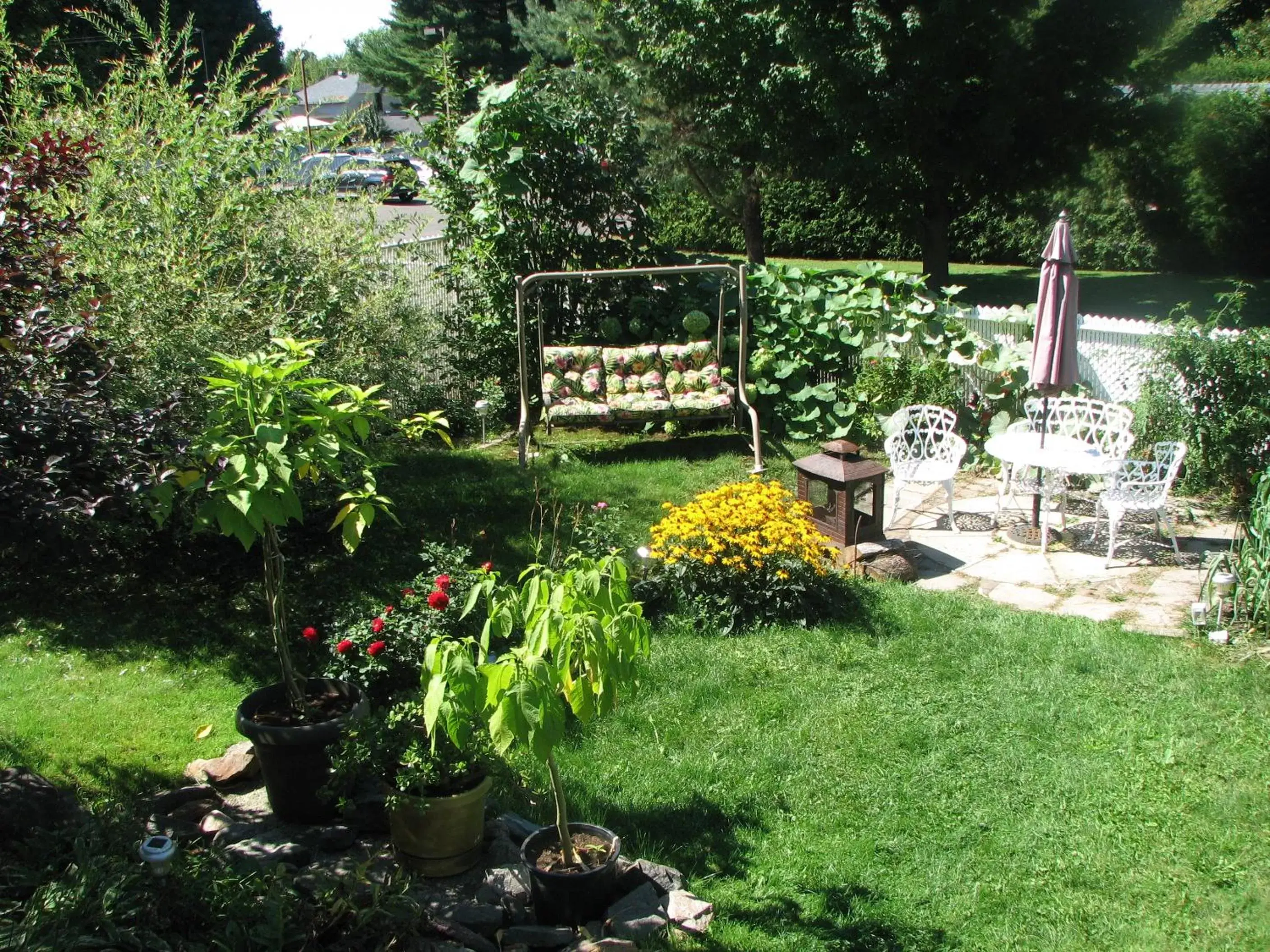 Patio, Patio/Outdoor Area in Magnolia B&B