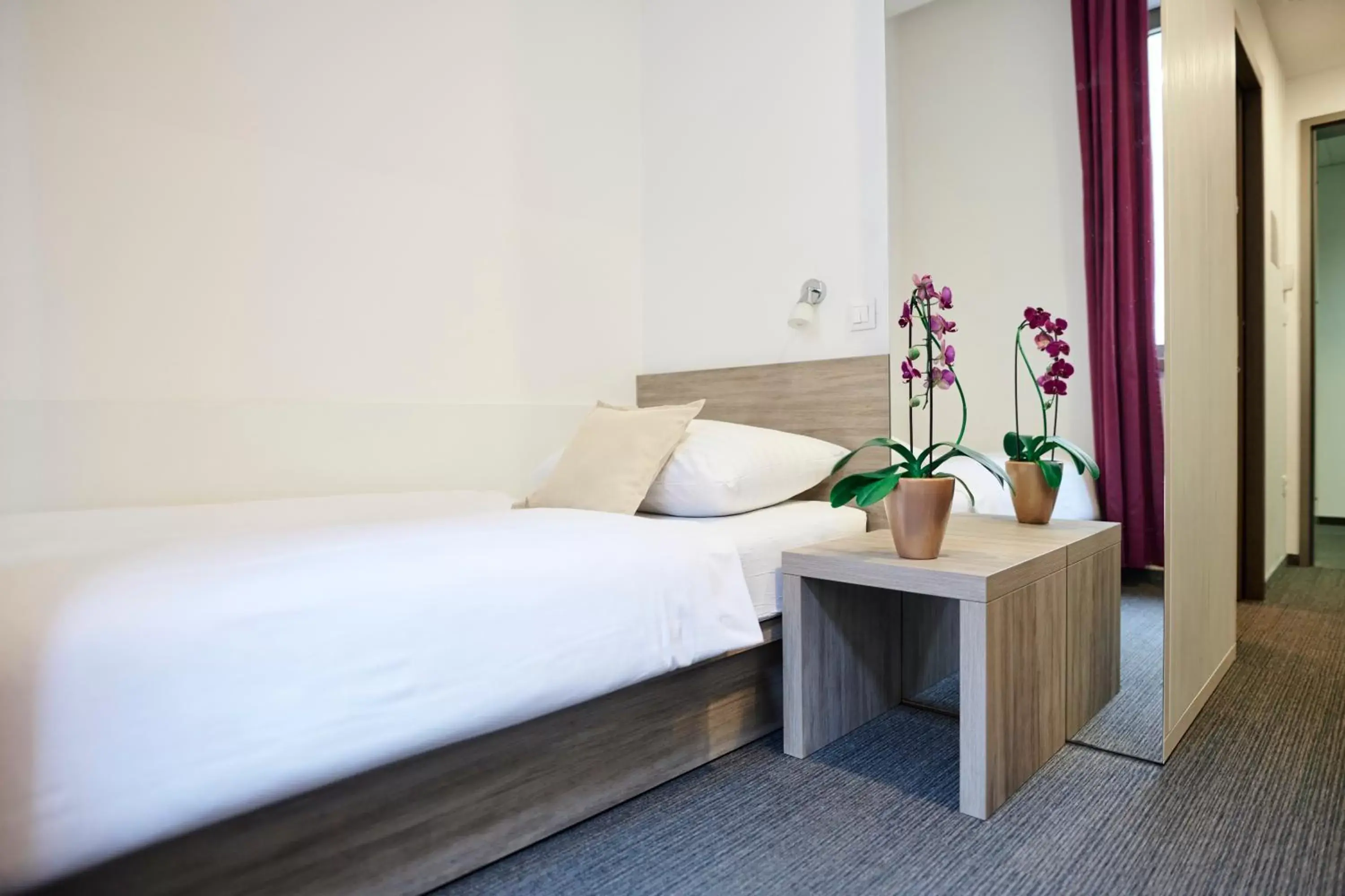 Single Room - single occupancy in Hotel Meksiko Single Room - single occupancy in Hotel Meksiko