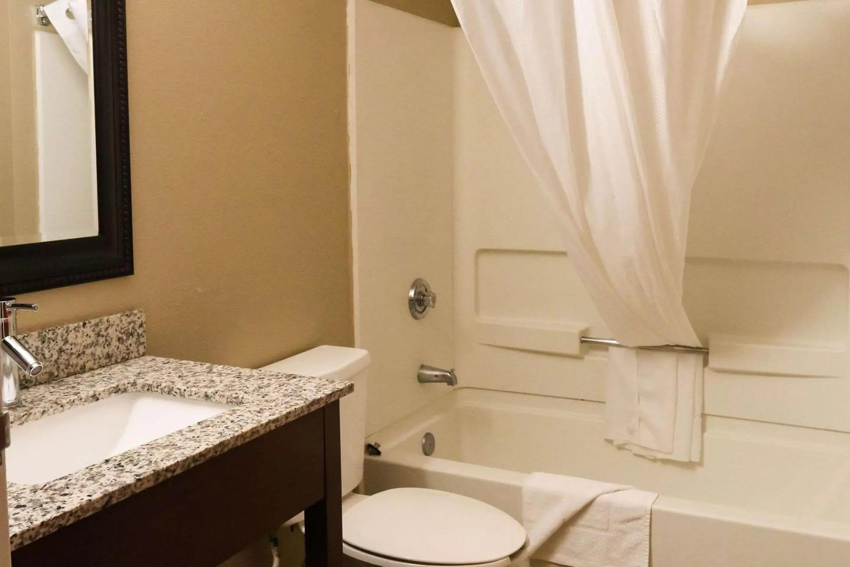 Bathroom in Econo Lodge Inn and Suites Greenville