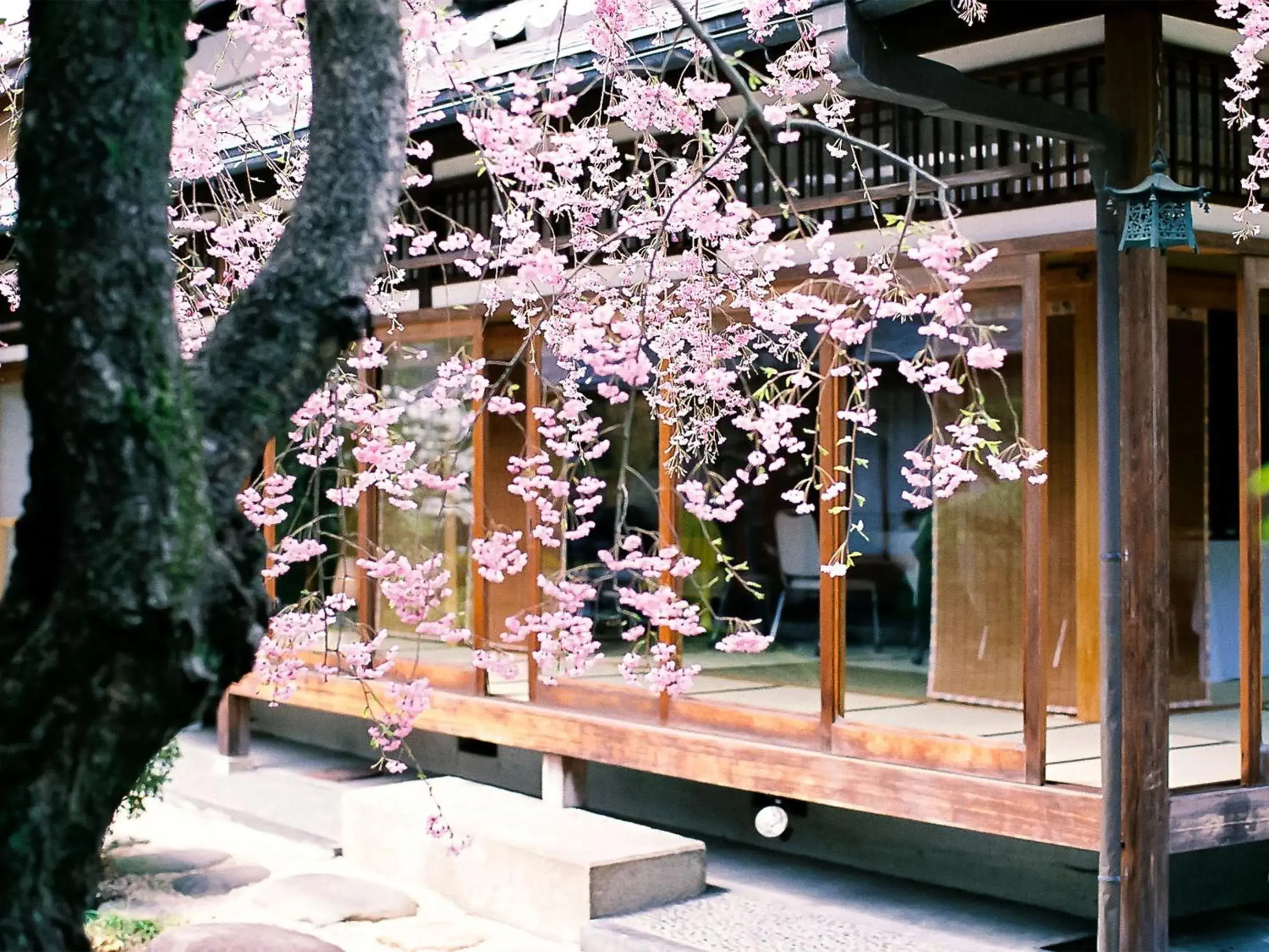 Garden view in Ryokan Genhouin