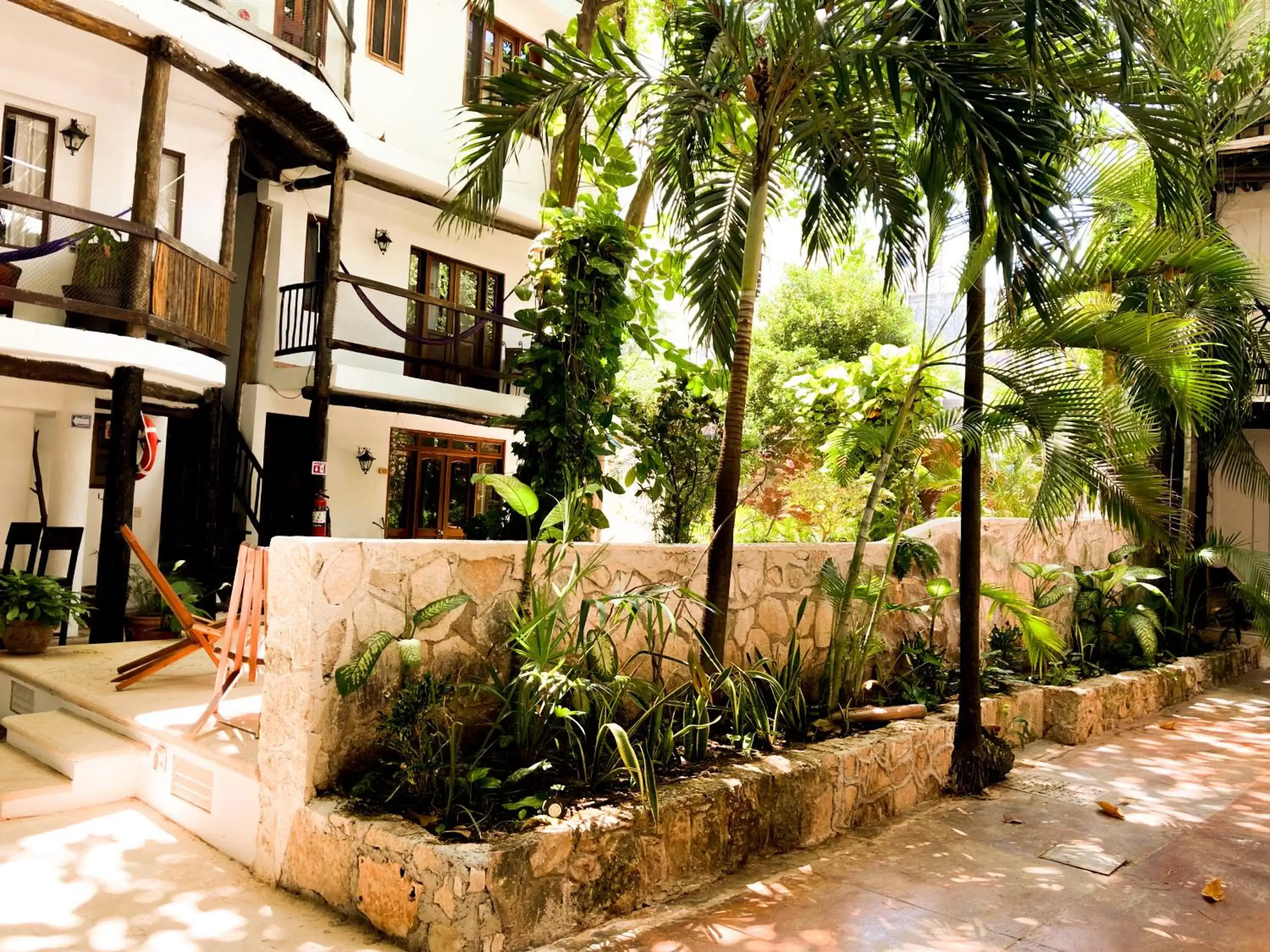 Garden, Property Building in Siesta Fiesta Hotel - 5th Avenue