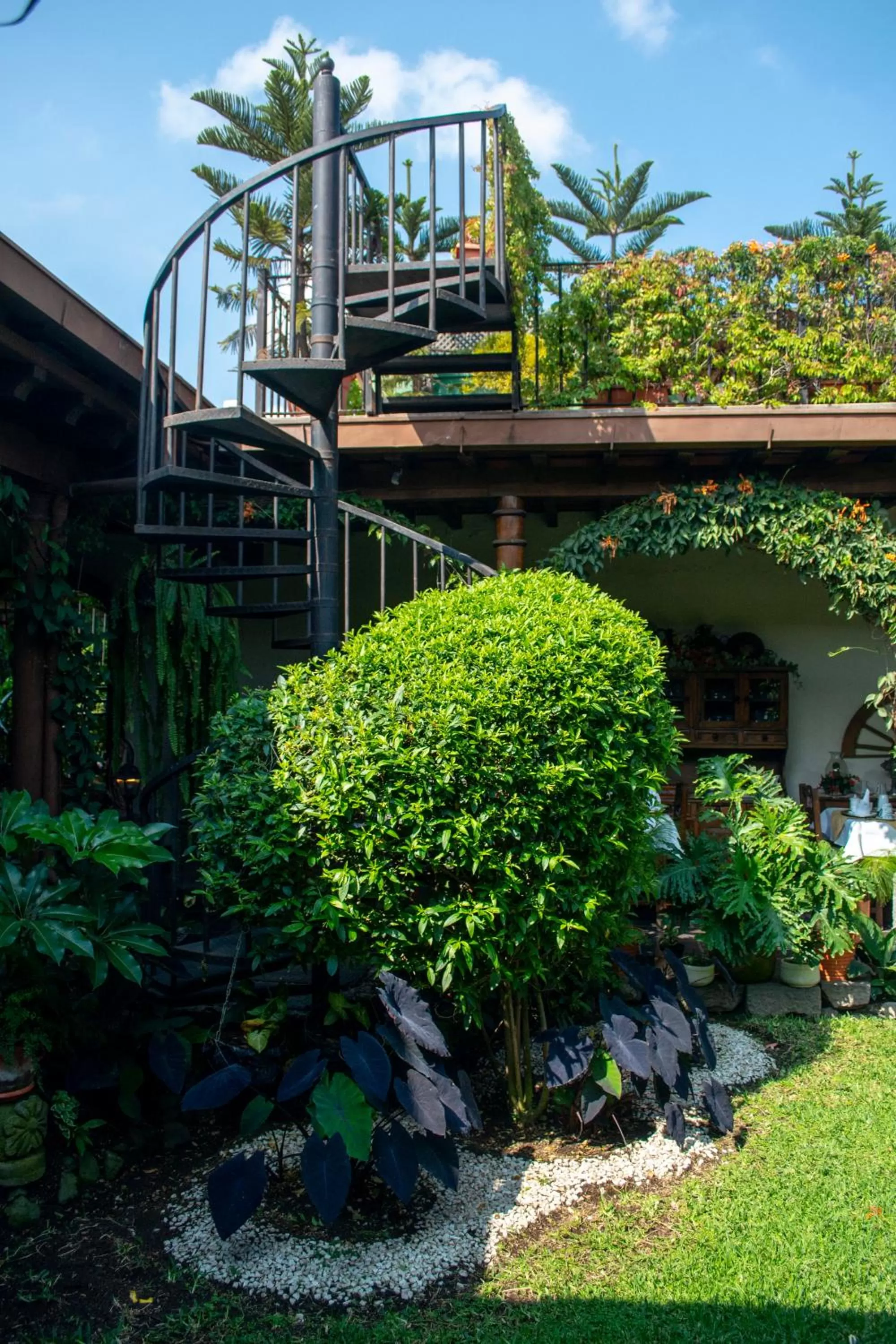 Patio in Hotel La Catedral