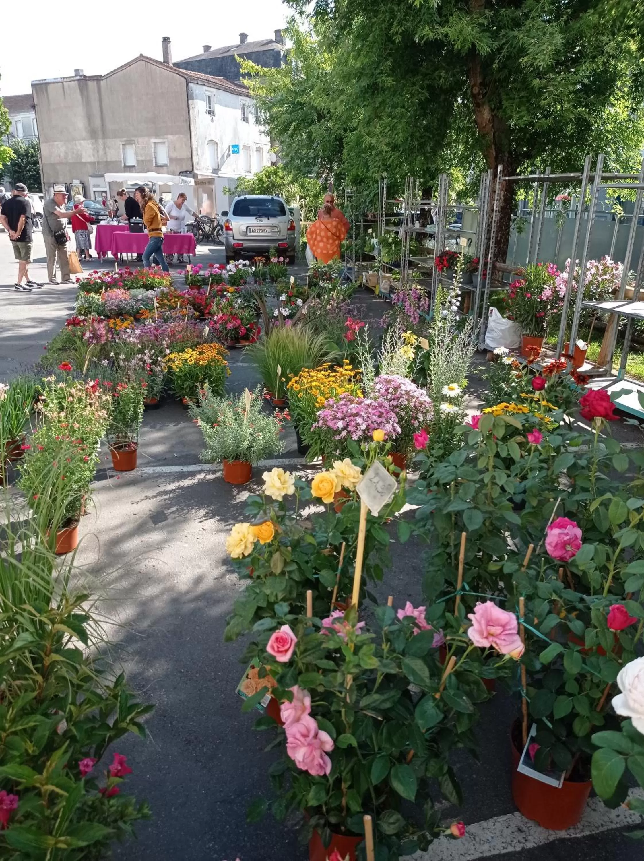 Shopping Area, Garden in Le Perroquet Vert