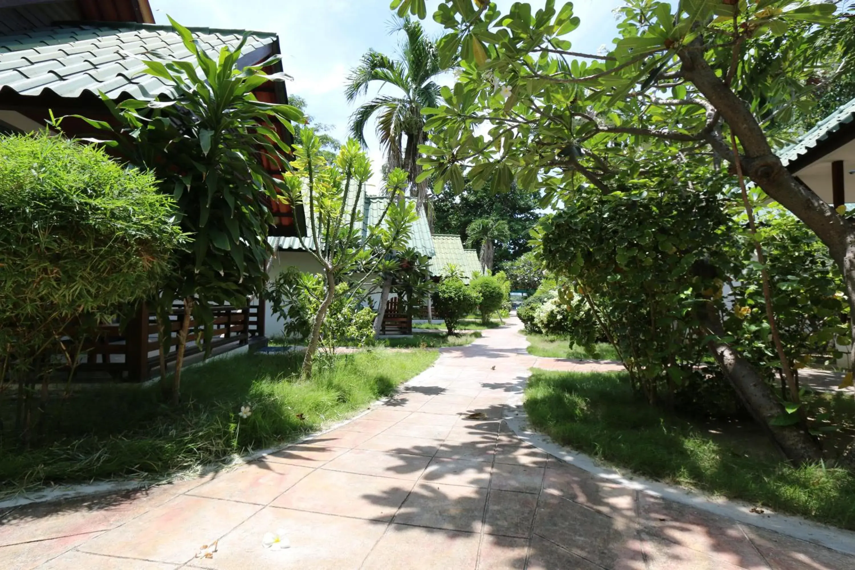 Garden in Marine Chaweng Beach Resort