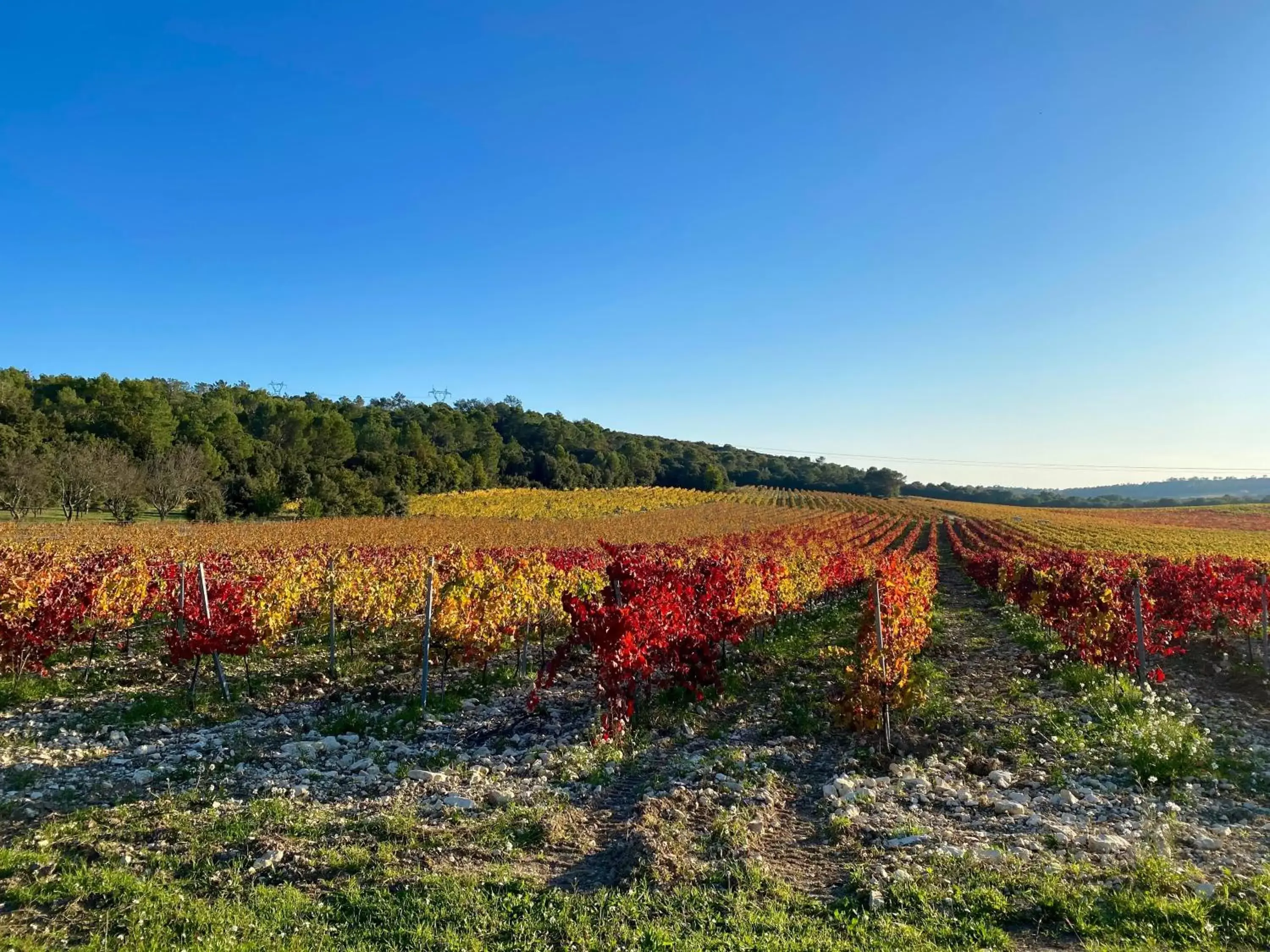 Autumn, Natural Landscape in Domaine du Commandeur