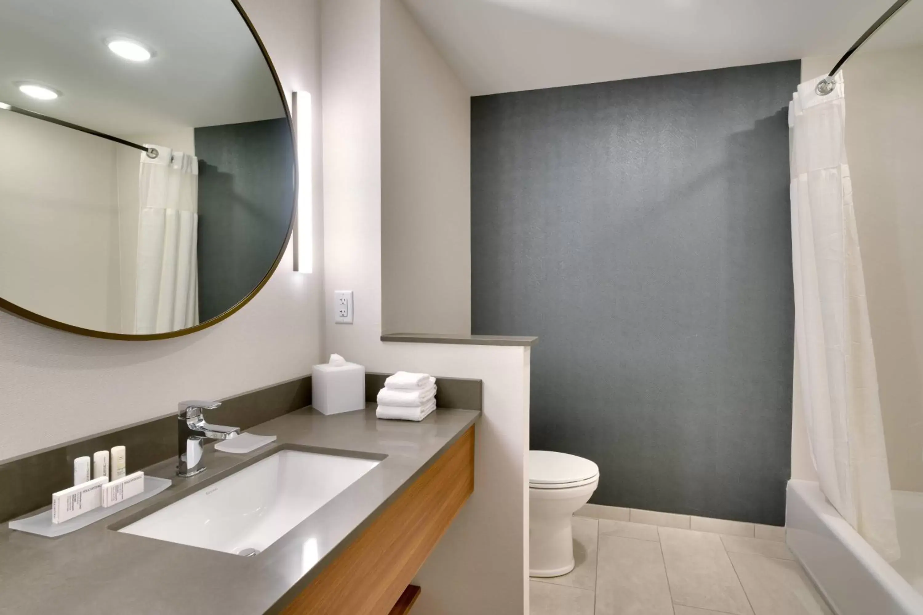 Bathroom in Fairfield Inn & Suites by Marriott Livingston Yellowstone