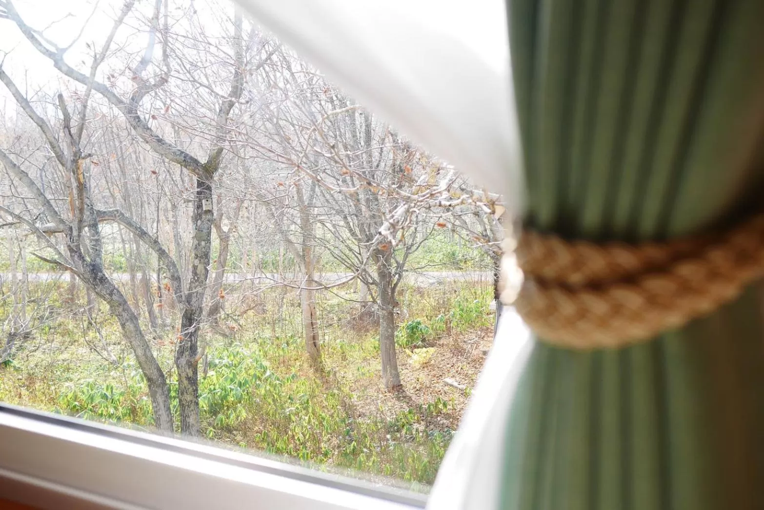 Spring in Country Inn Milky House