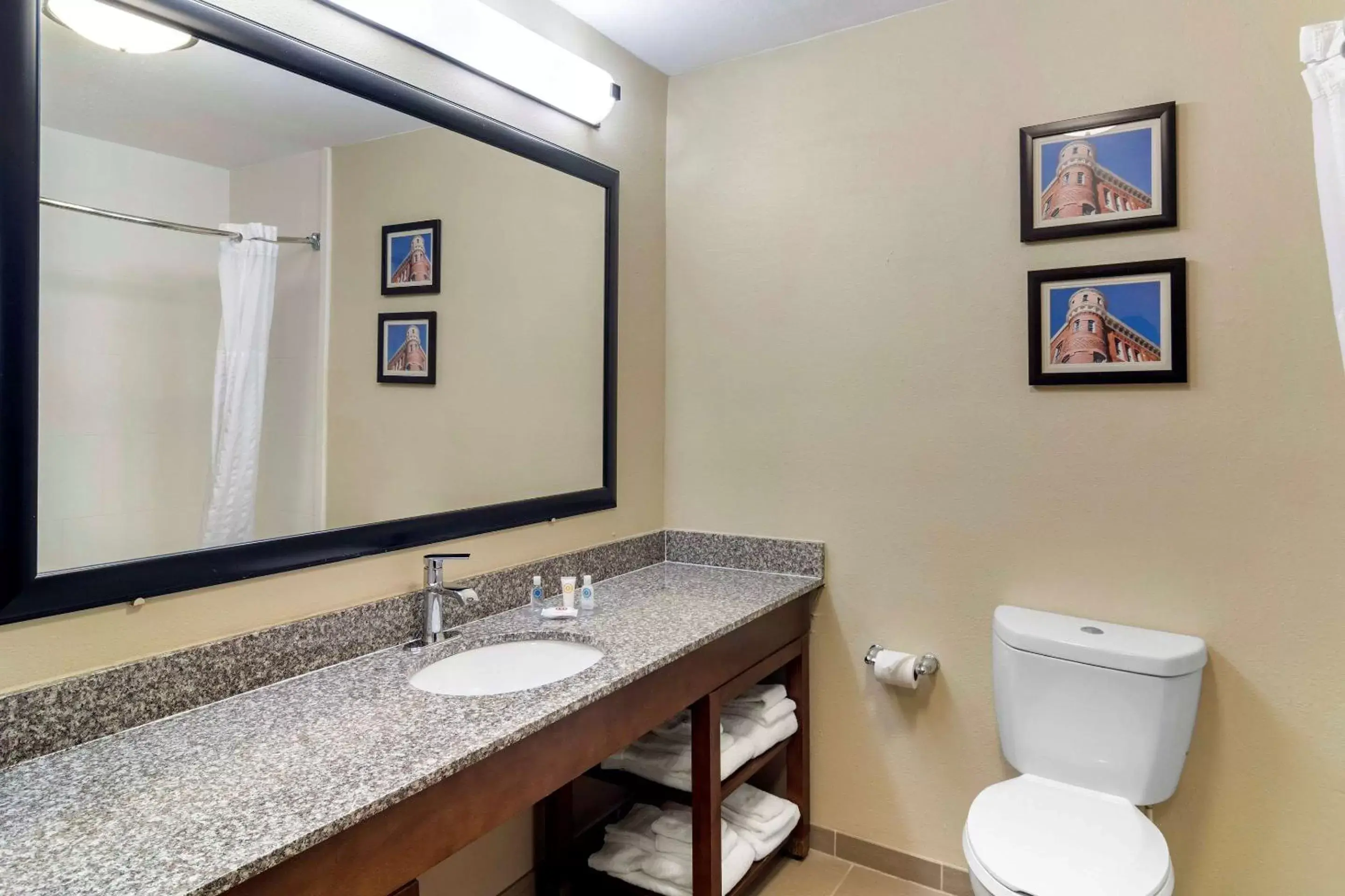 Bathroom in Comfort Inn & Suites Macon North I-75