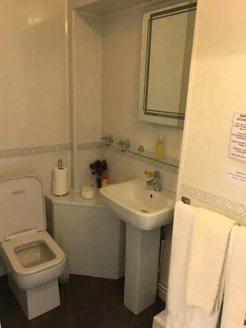 Bathroom in Bron Menai Guest House