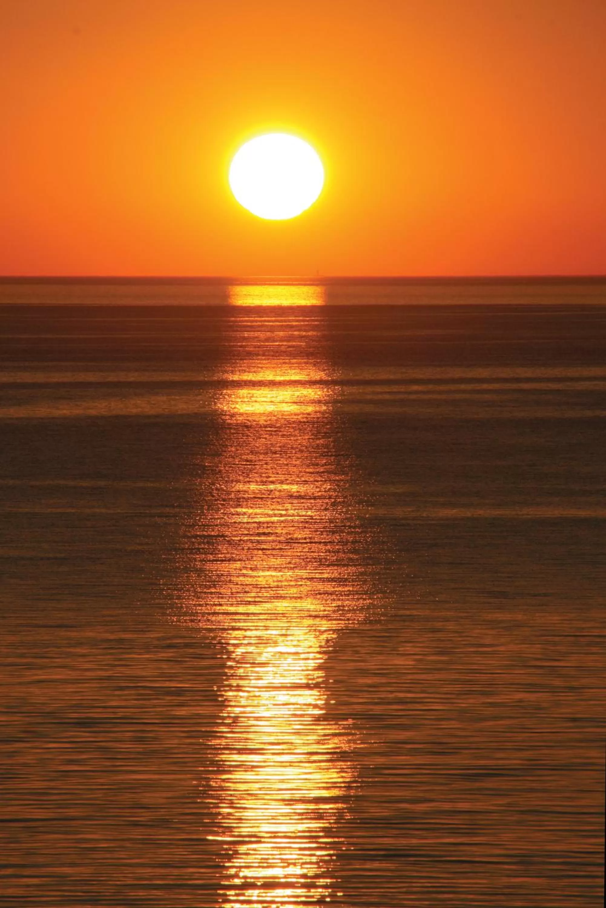 Area and facilities in Hotel Ricadi