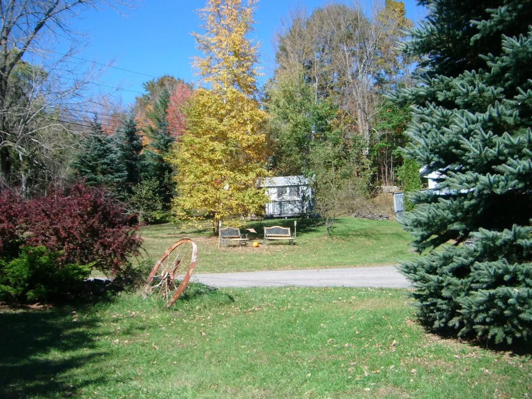 Garden view, Garden in Starlite Motel & Suites