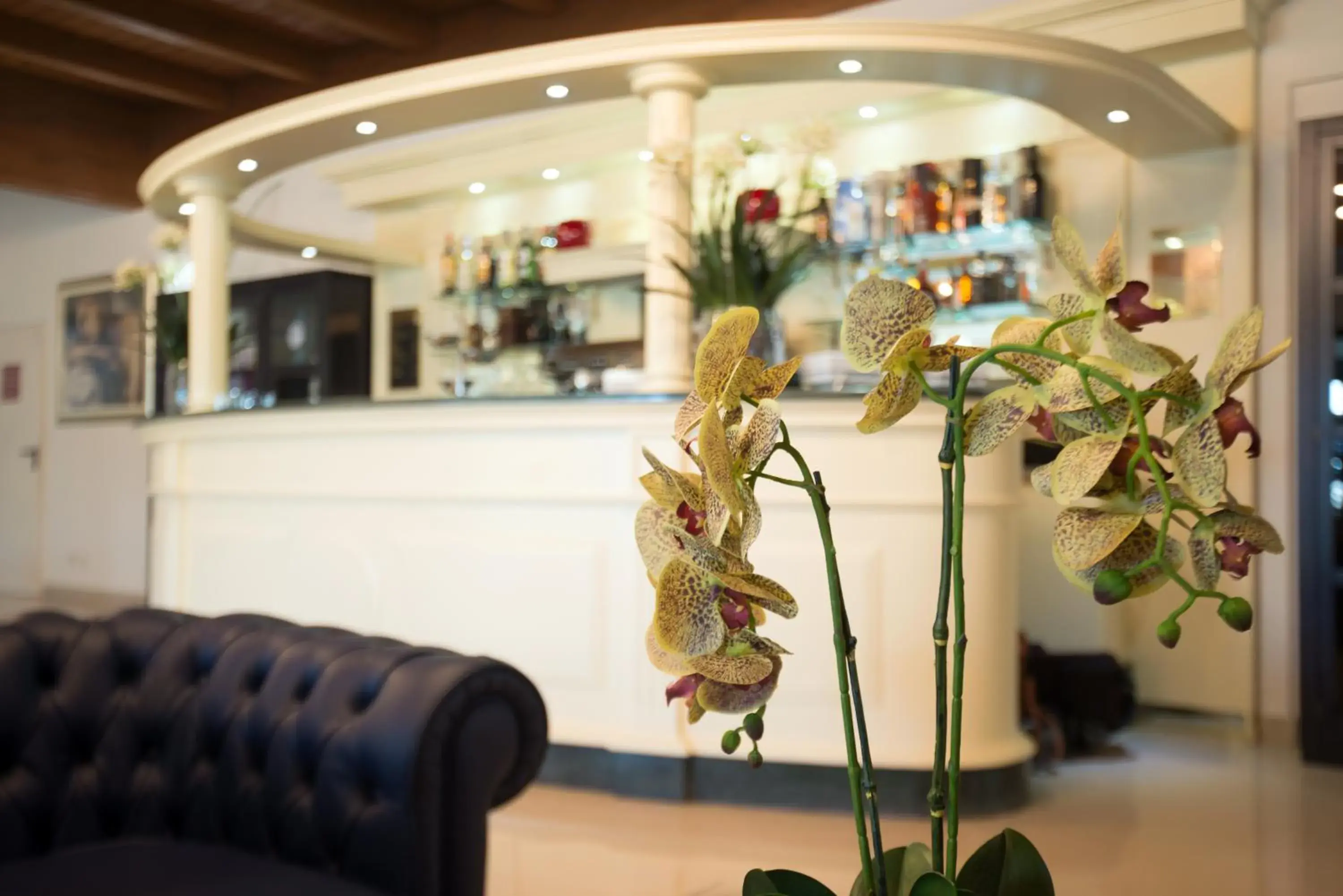 Lounge or bar, Lobby/Reception in AS Hotel Sempione Fiera