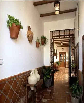 Decorative detail, Lobby/Reception in El Perro de Paterna