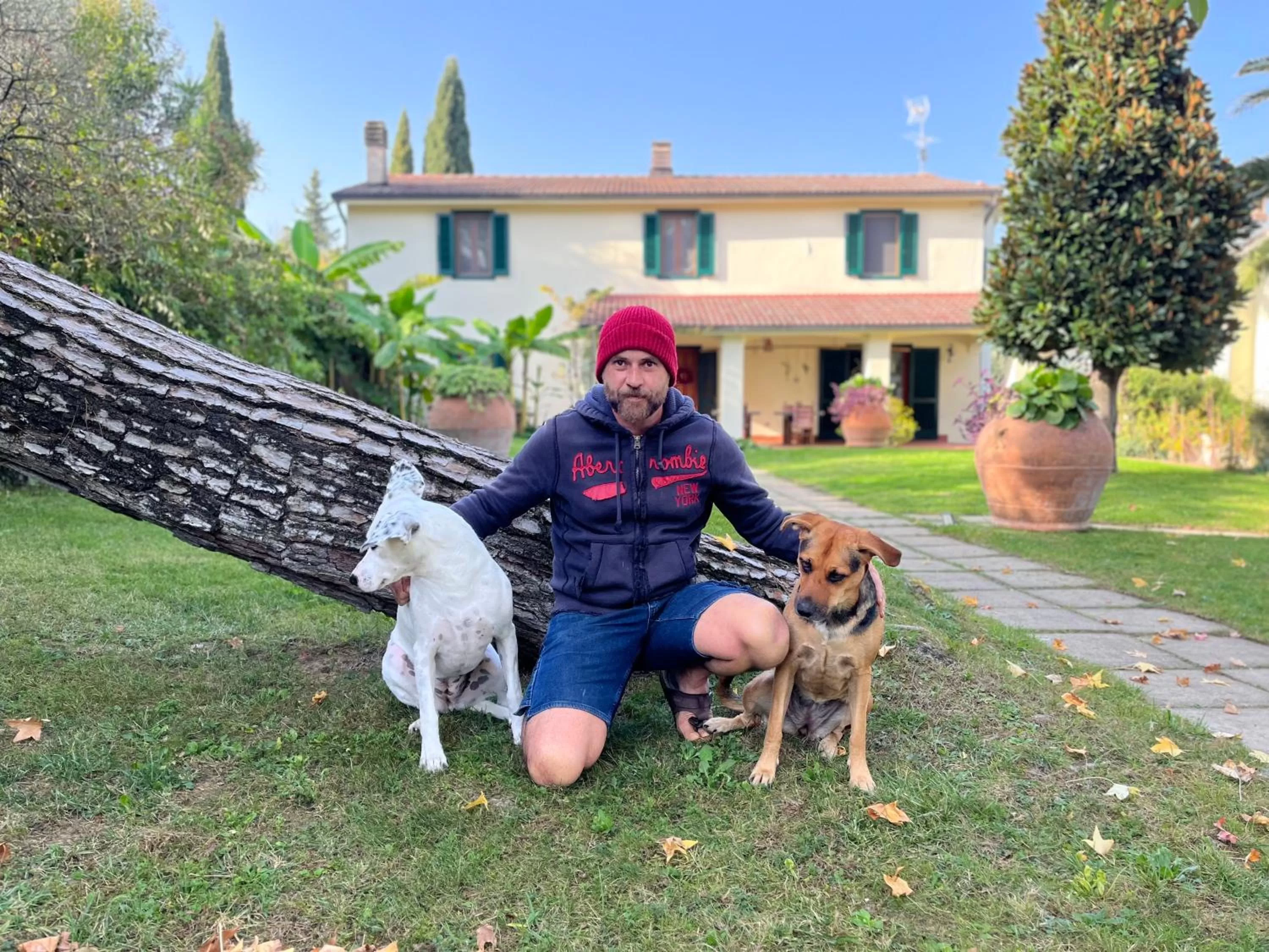 Day in Casa del Pino