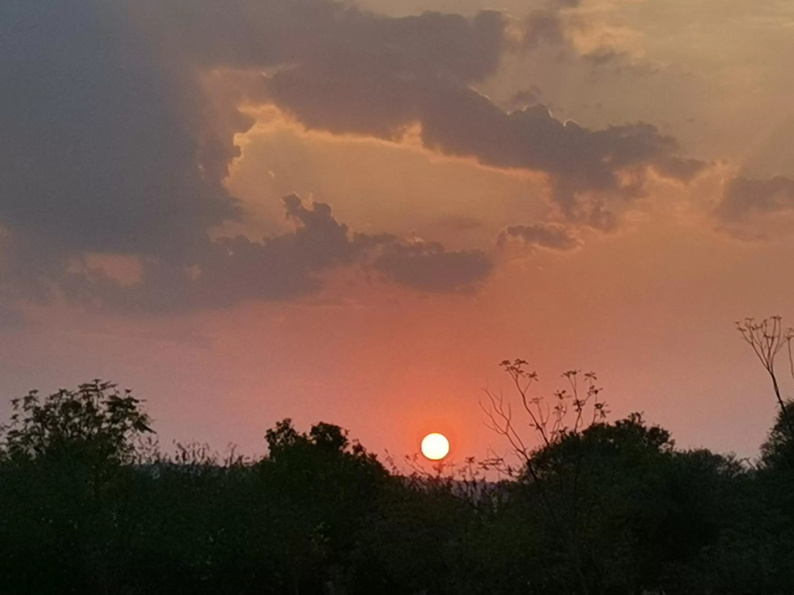 Sunset in Astroport Sariska Treetop by Eight Continents