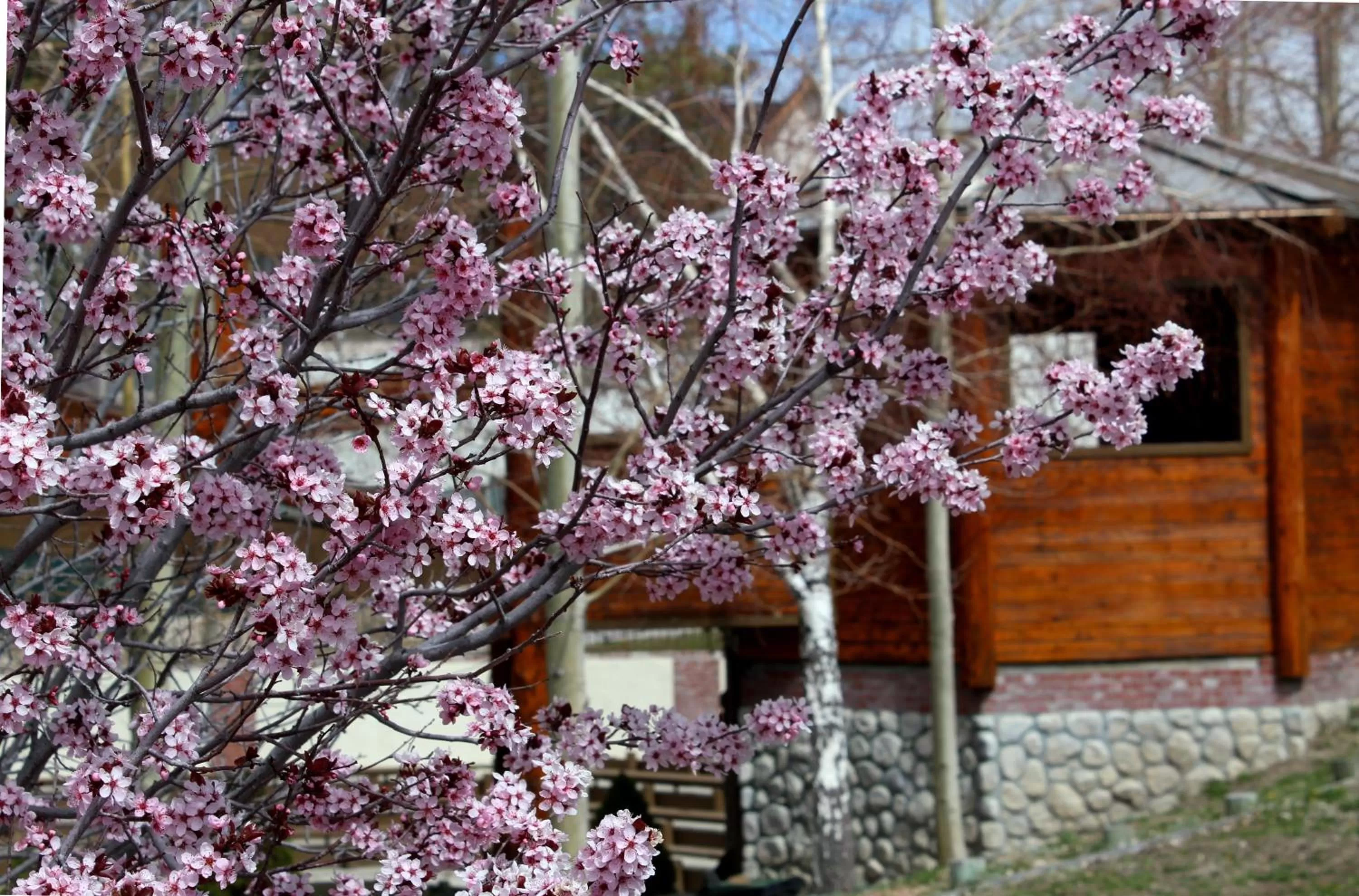 Other in Holiday Inn Resort The Lodge at Big Bear Lake by IHG