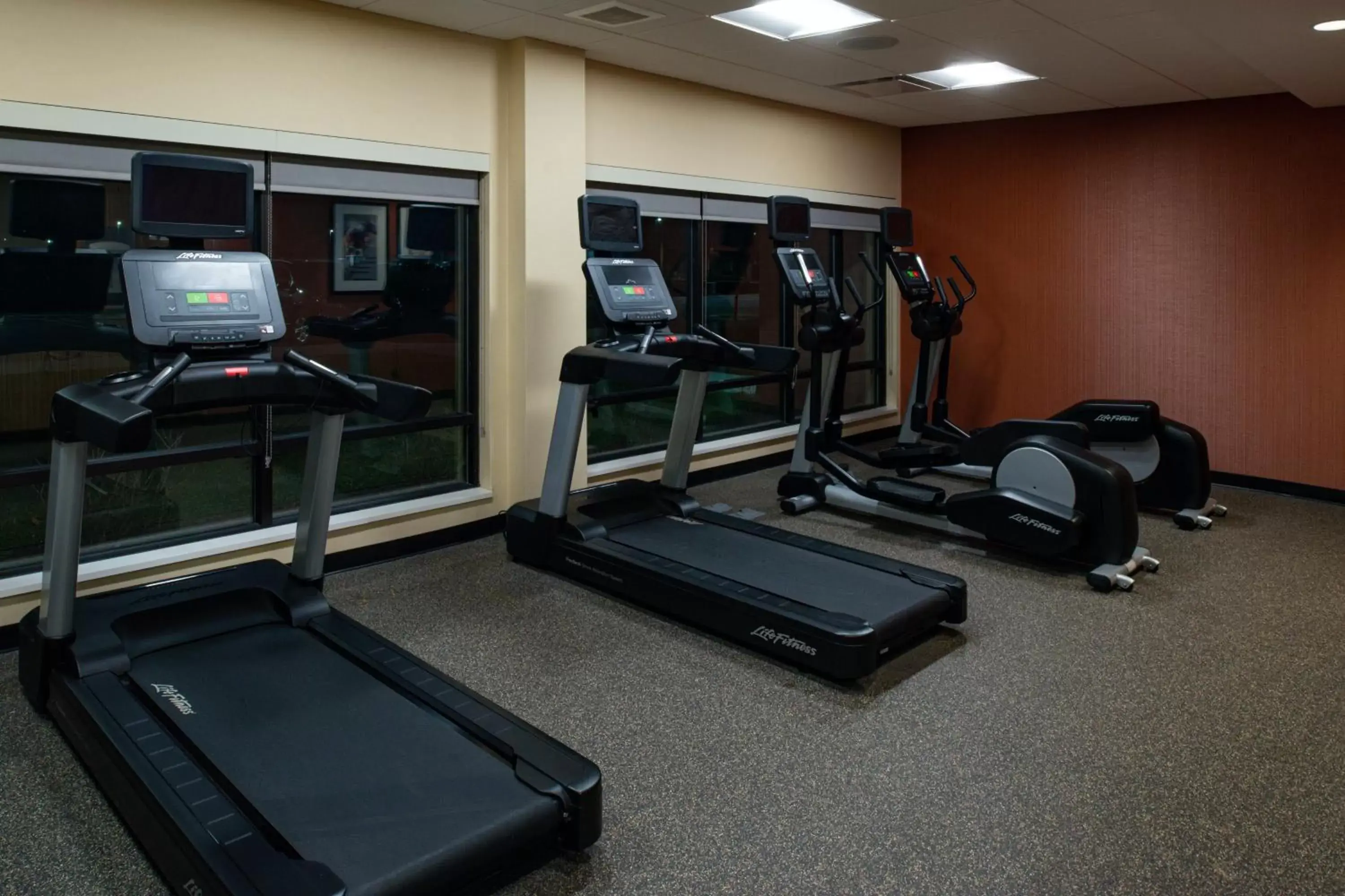 Fitness centre/facilities, Fitness Center/Facilities in TownePlace Suites by Marriott Detroit Belleville