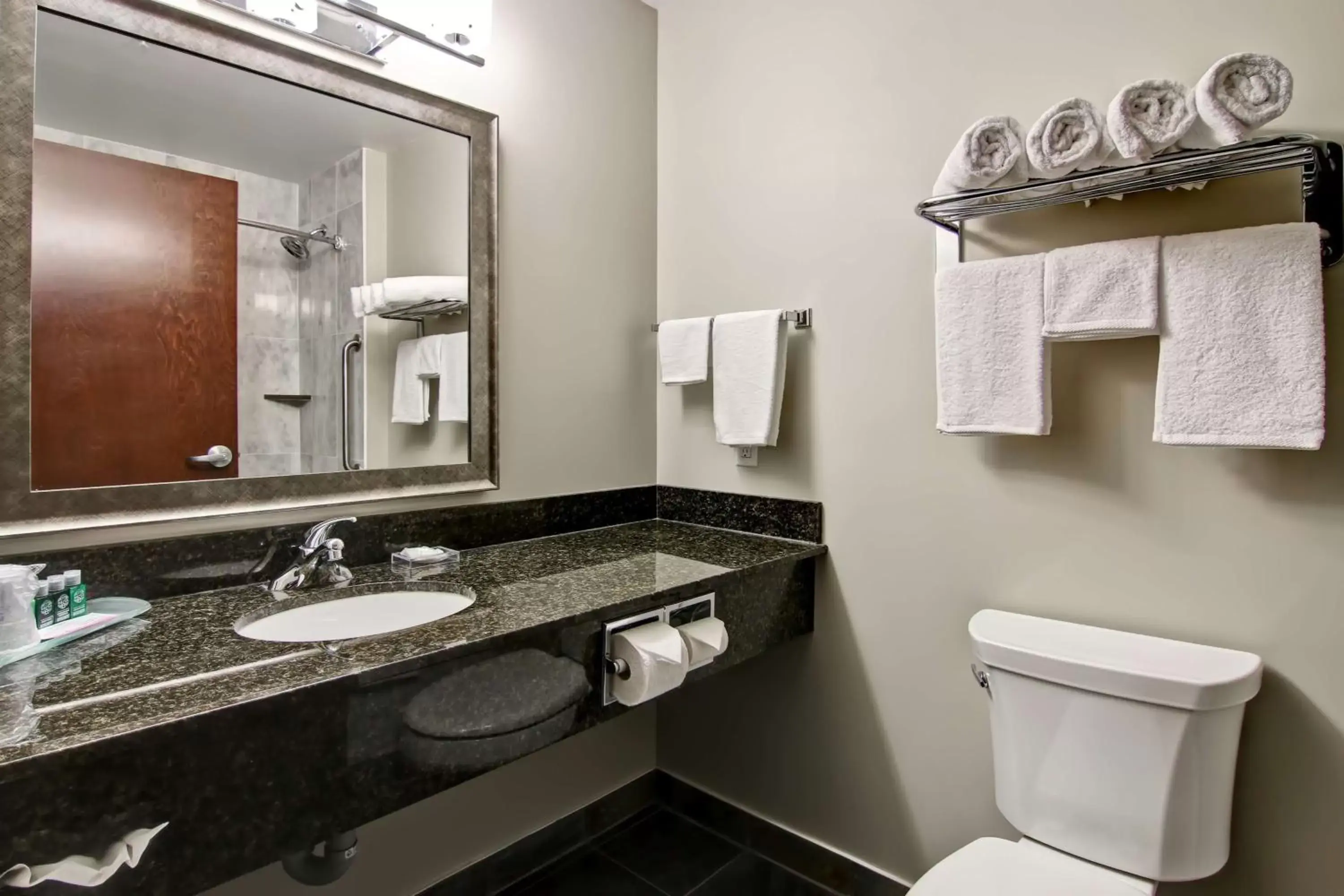 Bathroom in Best Western Plus Brandon Inn