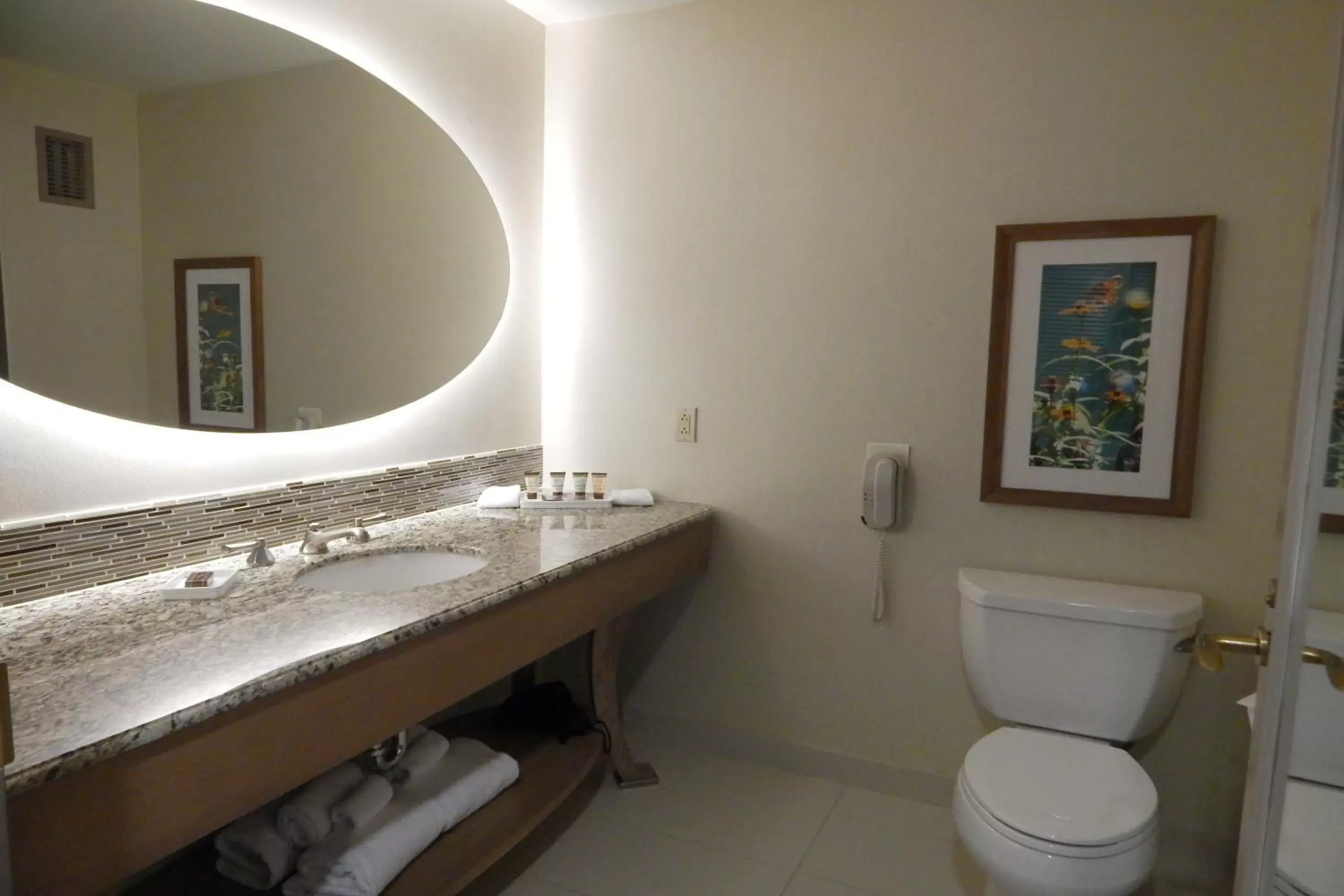Toilet, Bathroom in Moody Gardens Hotel, Spa and Convention Center