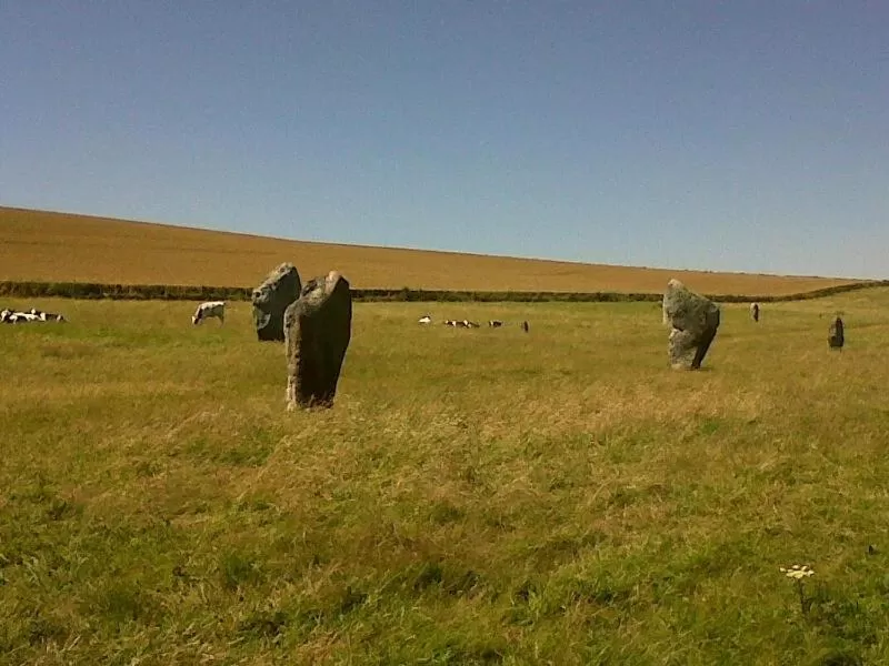Nearby landmark, Other Animals in B&B Dorwyn Manor