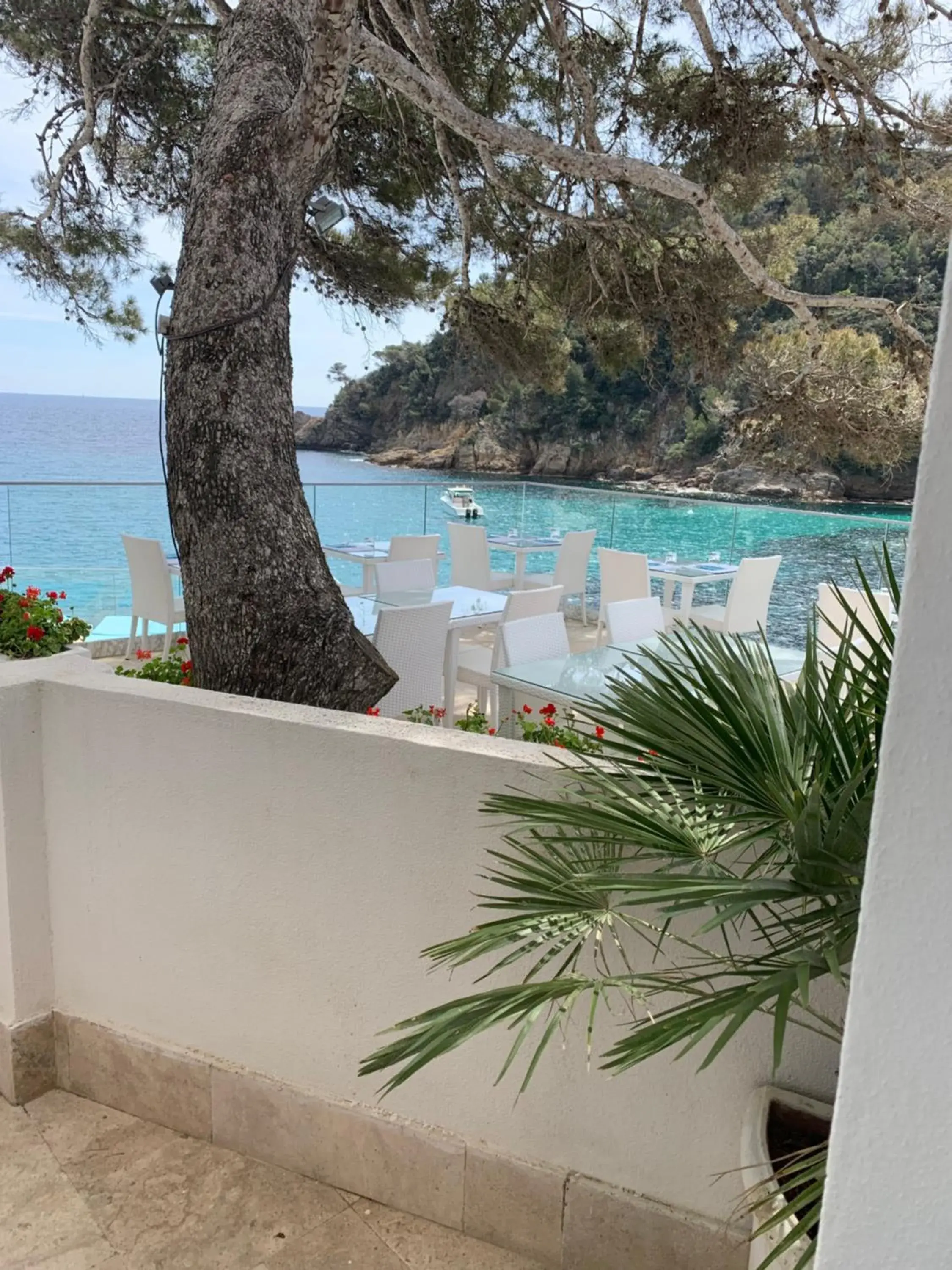 Pool View in Hotel La Calanque