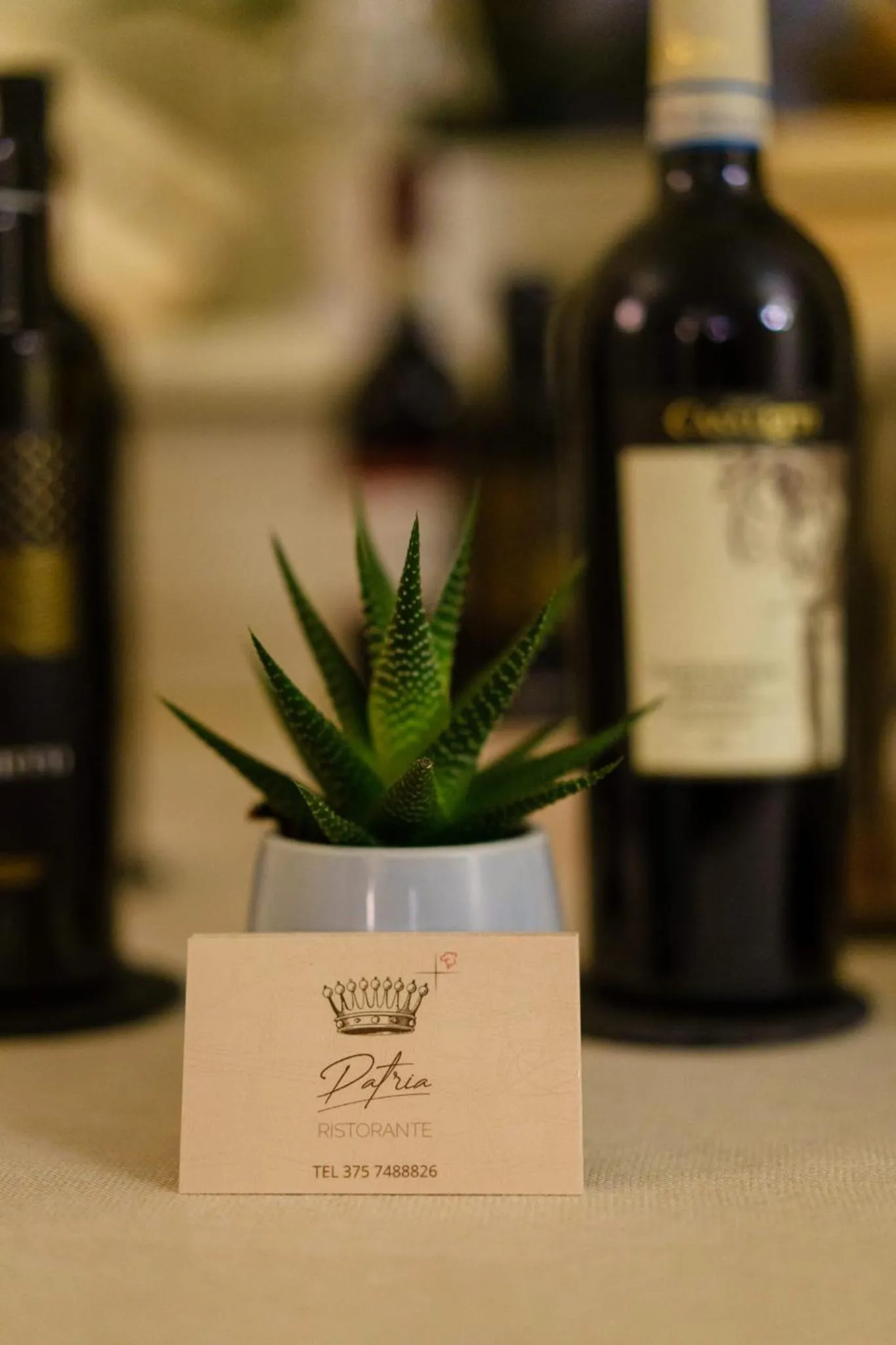 Restaurant/places to eat in Hotel Patria