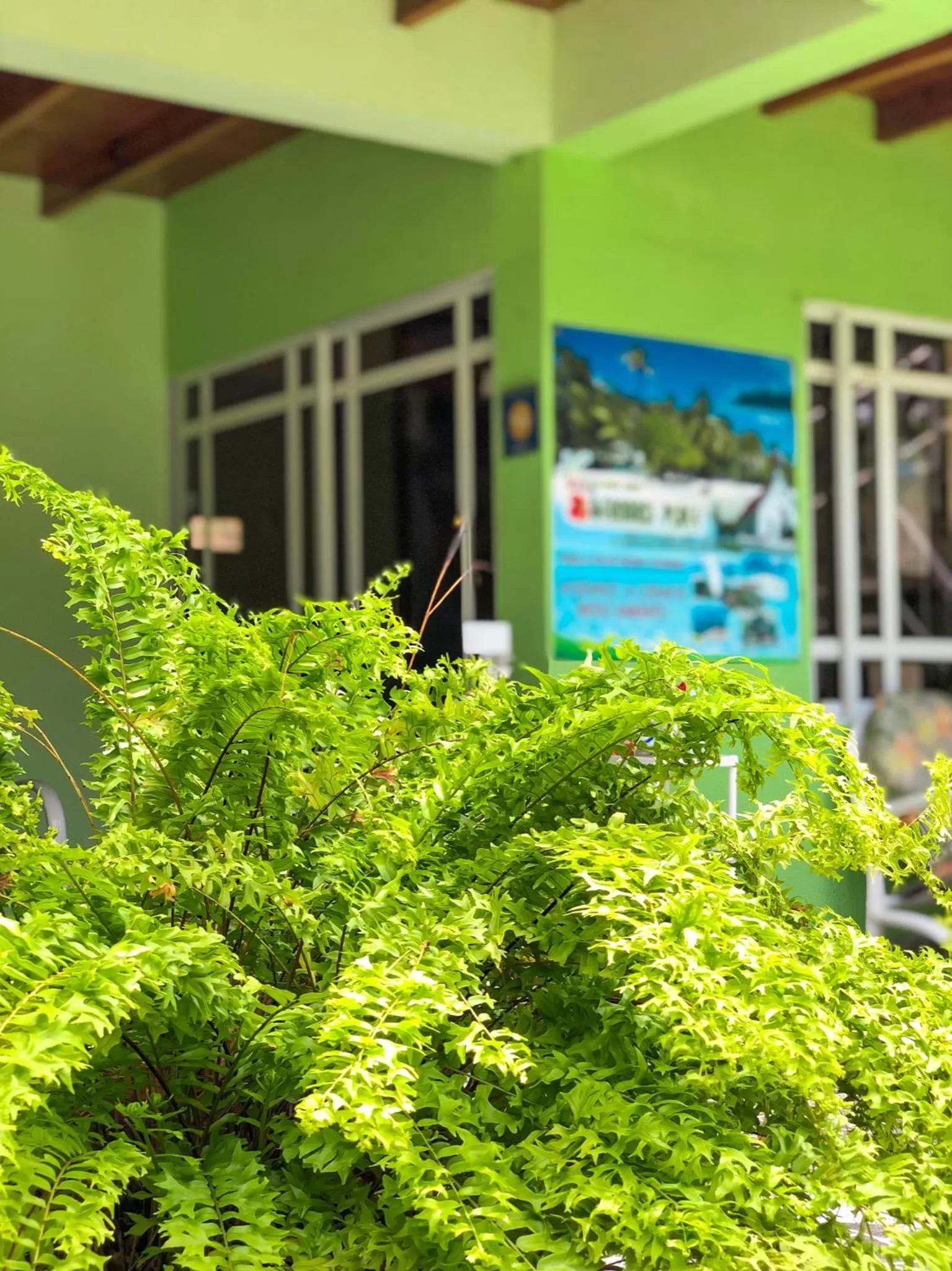 Garden in Posada Nativa Bernard Place