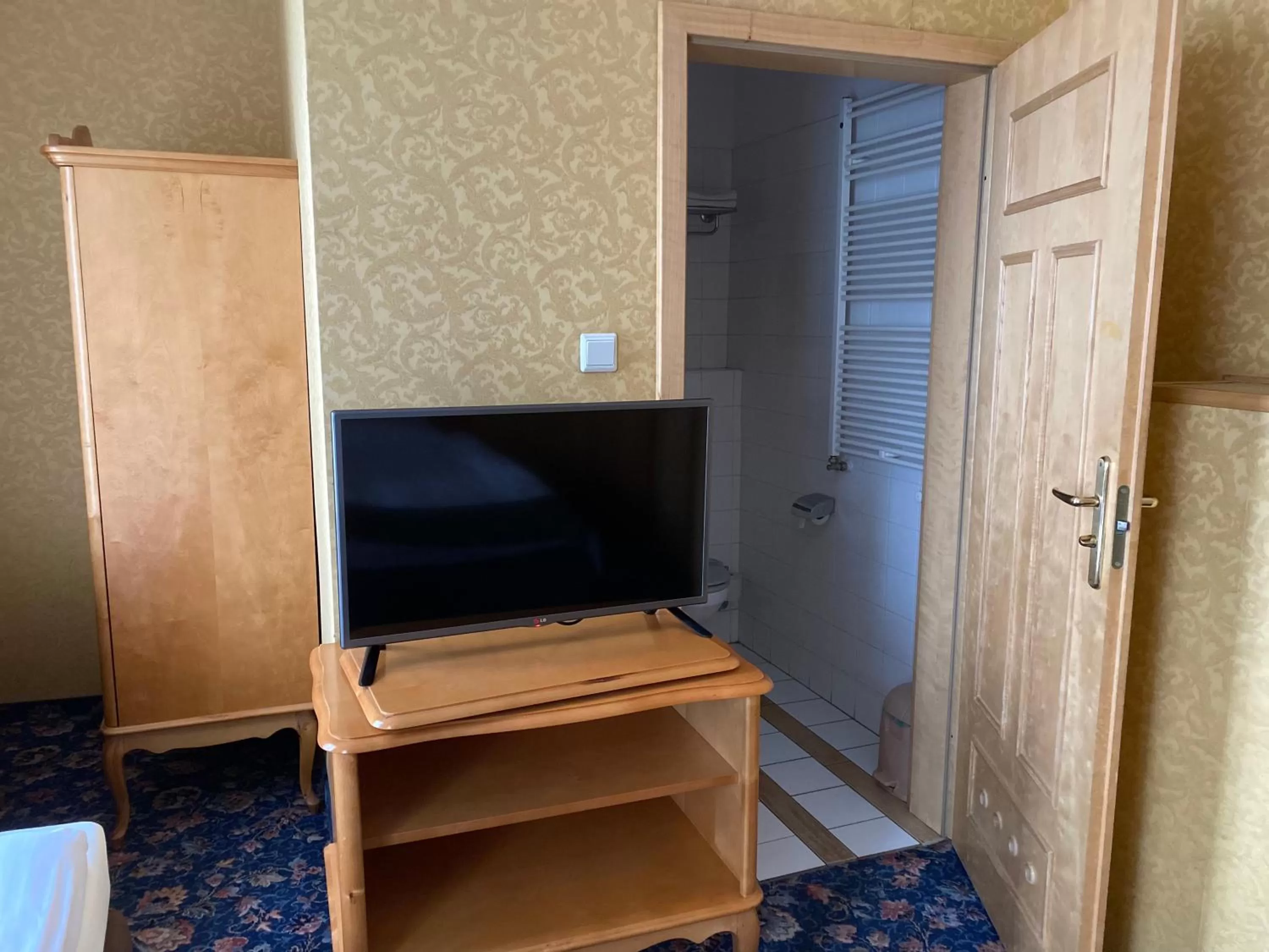 TV and multimedia in Dedek Park - historyczny dworek w pięknym Parku Skaryszewskim obok Stadionu Narodowego