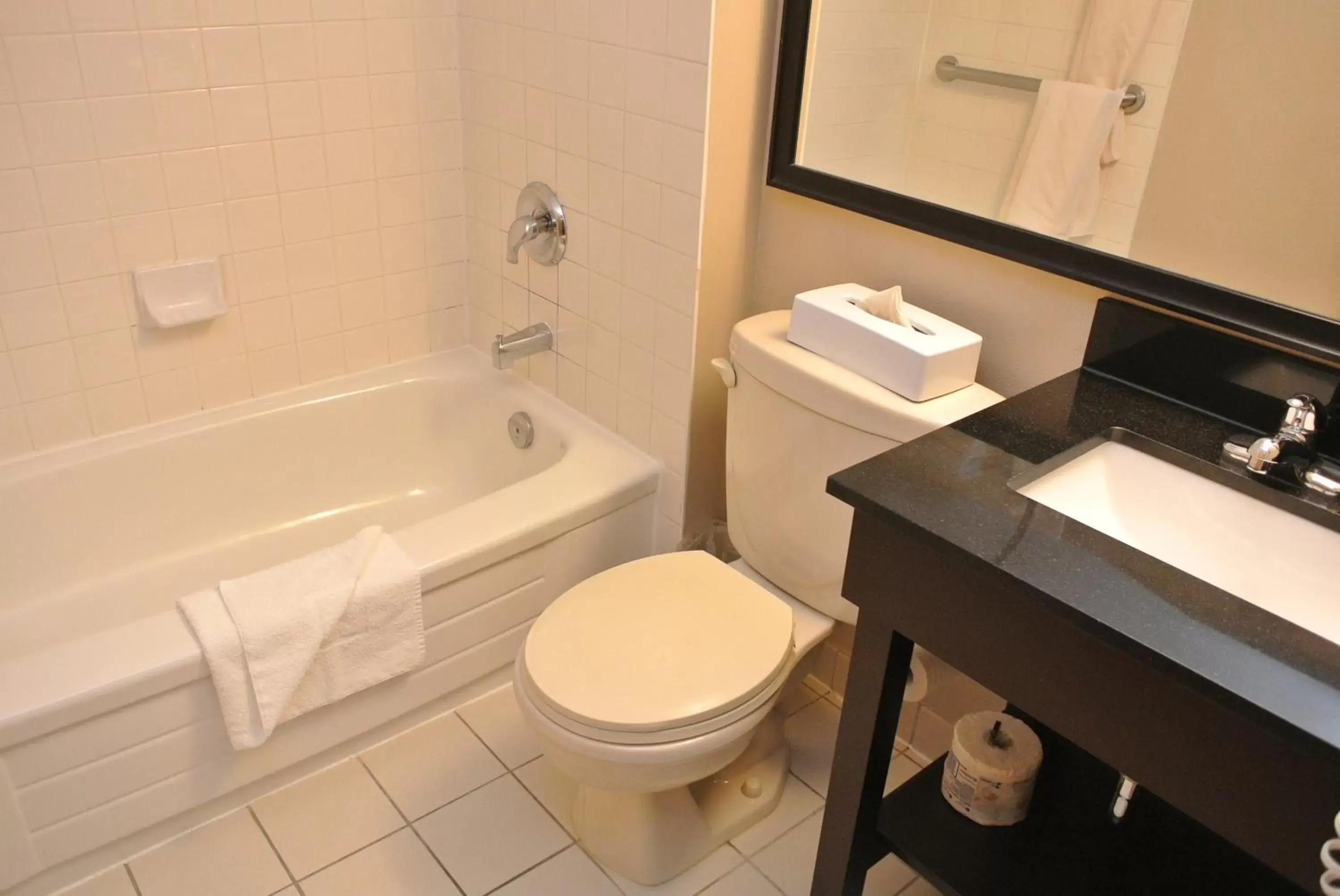 Bathroom in Travelodge by Wyndham Ottawa East