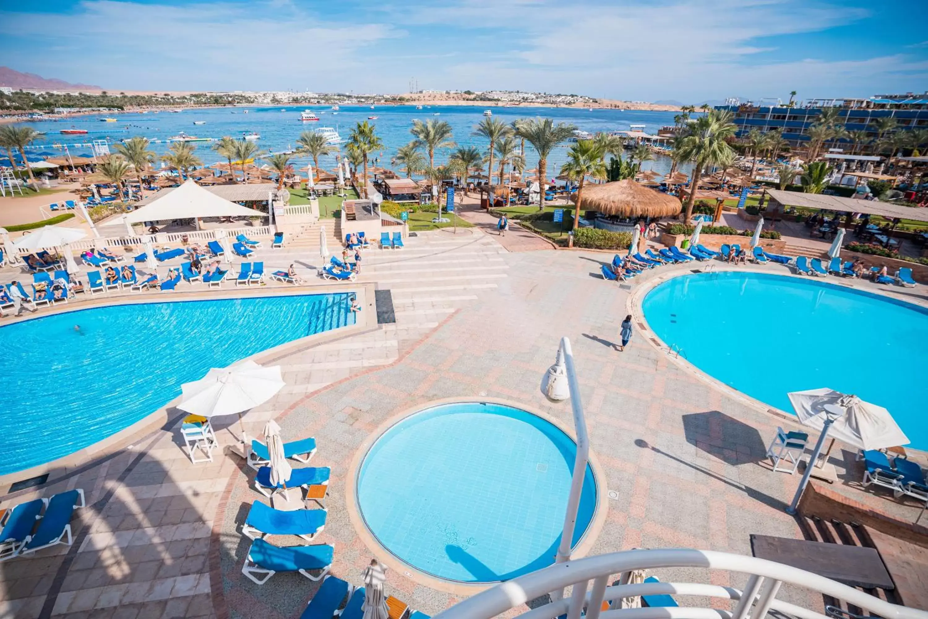 Swimming pool, Pool View in Marina Sharm Hotel