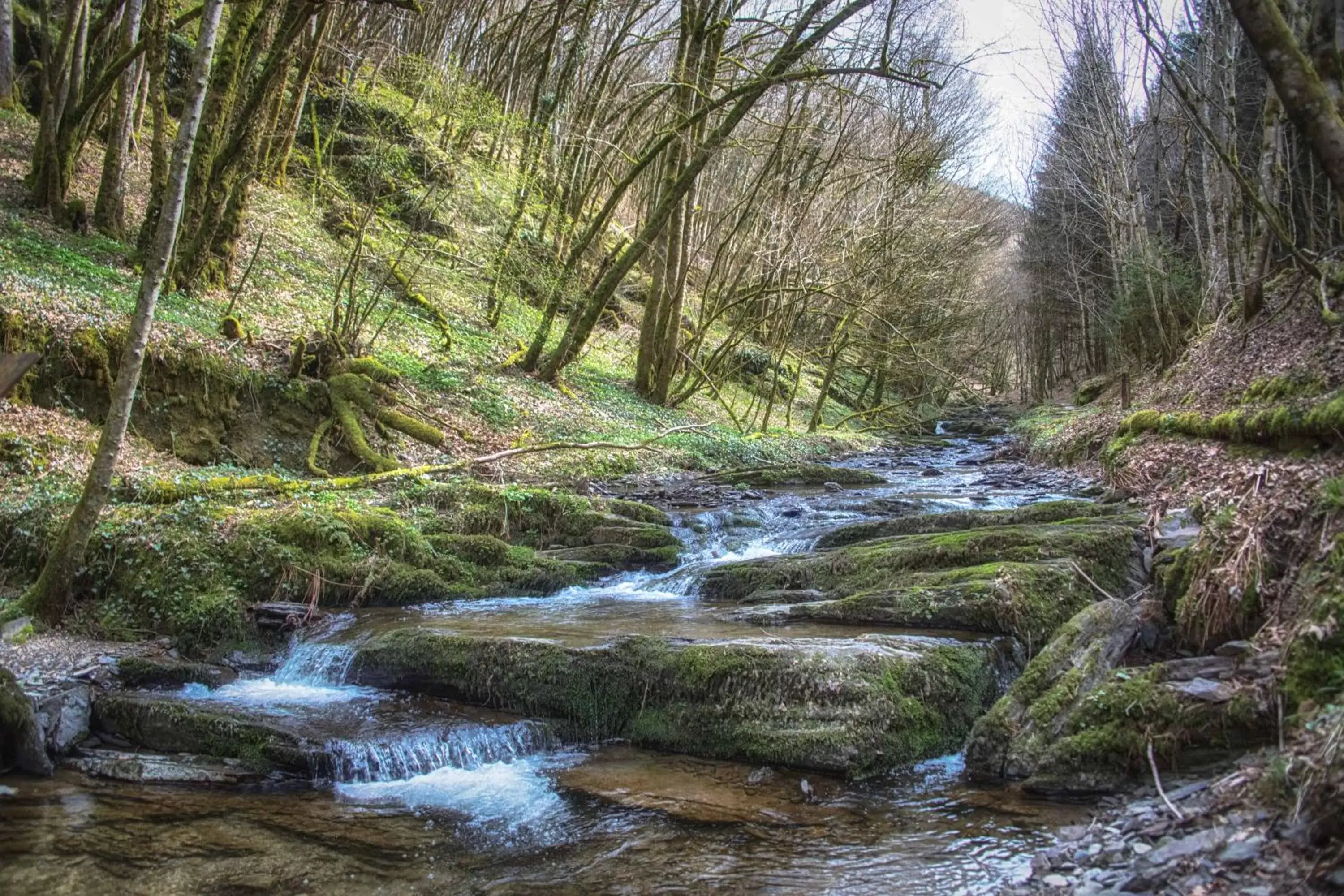 Spring, Natural Landscape in Aux Tanneries de Wiltz