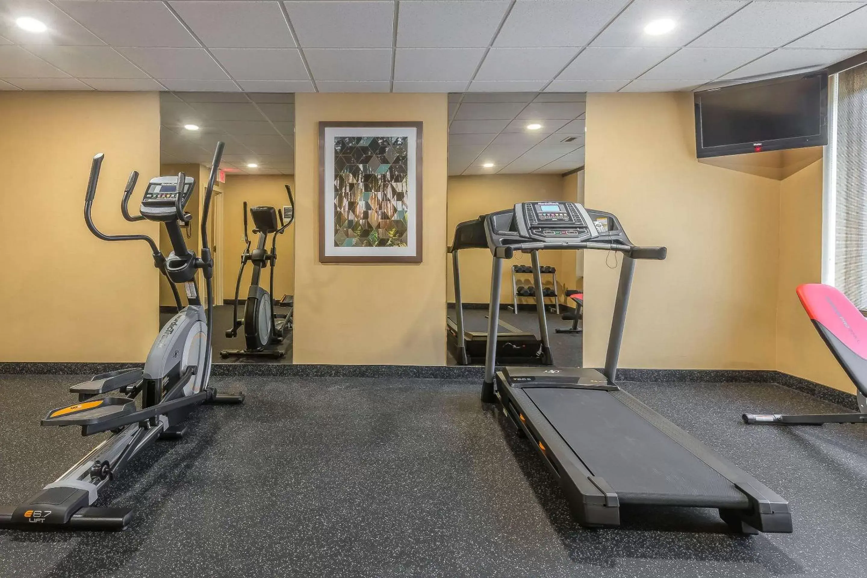 Fitness centre/facilities, Fitness Center/Facilities in Quality Inn & Suites Downtown Windsor, ON, Canada