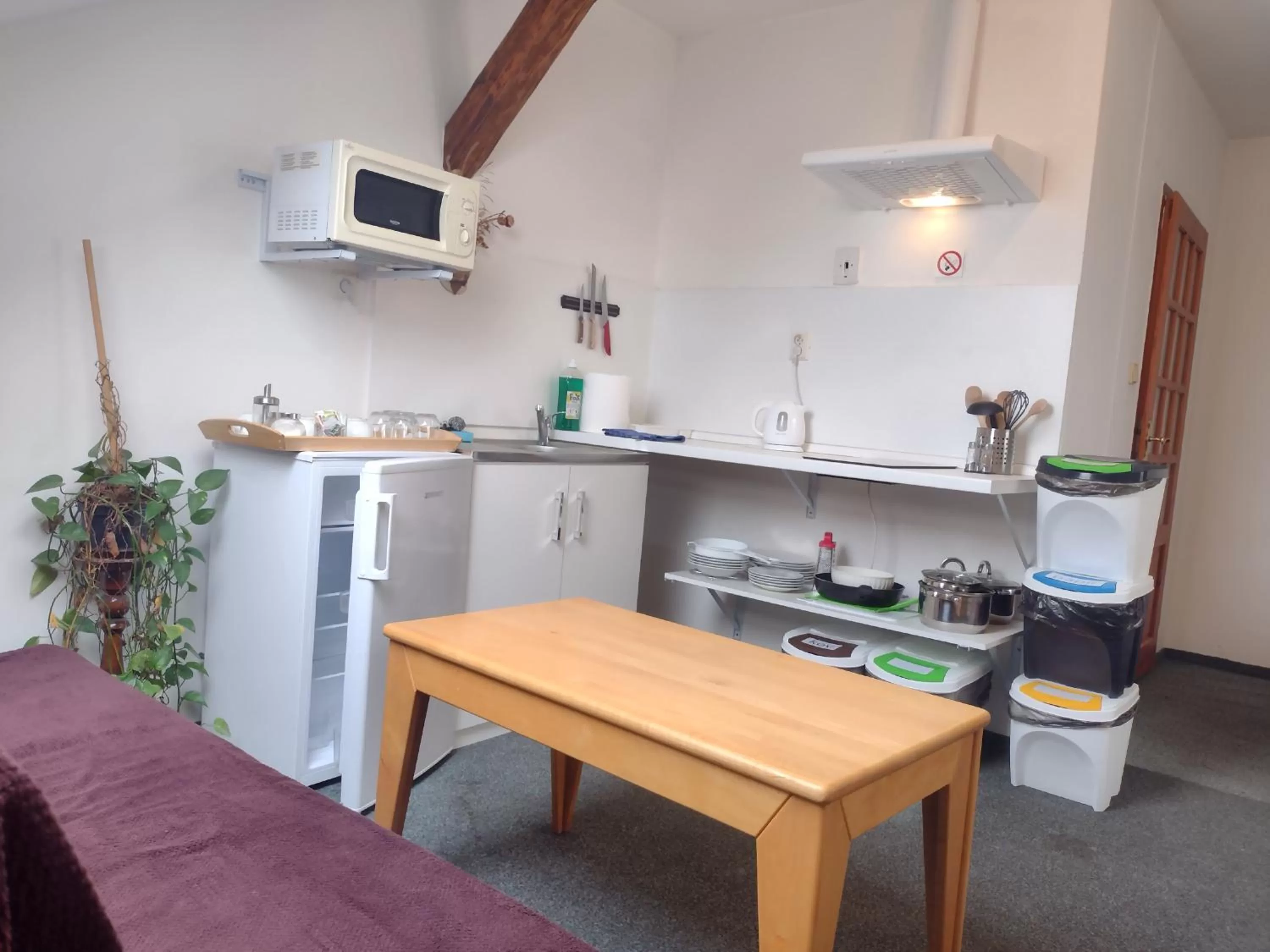 Kitchen or kitchenette in Pension Fontána Svitavy