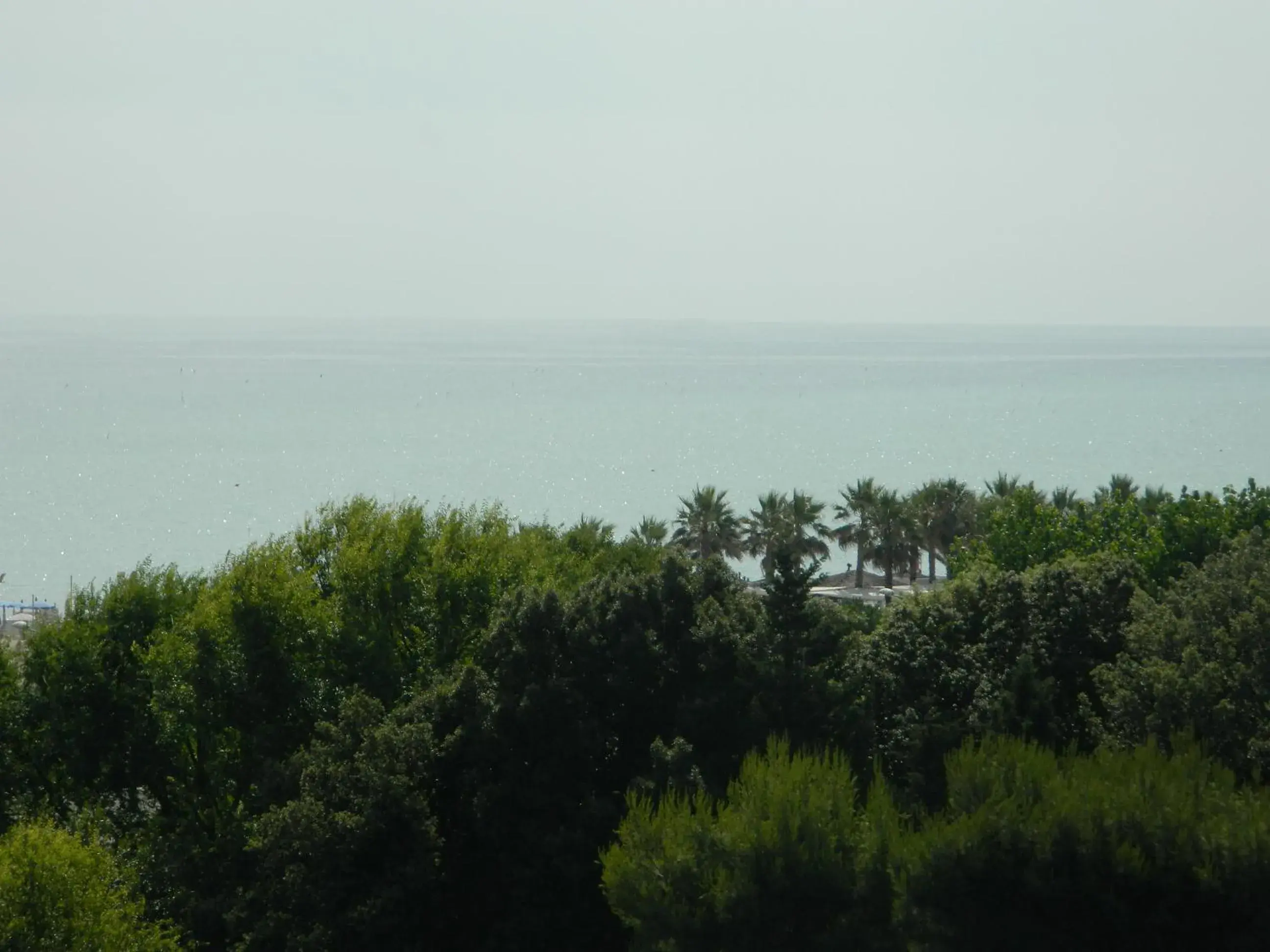 Sea view, Natural Landscape in Hotel Miramare