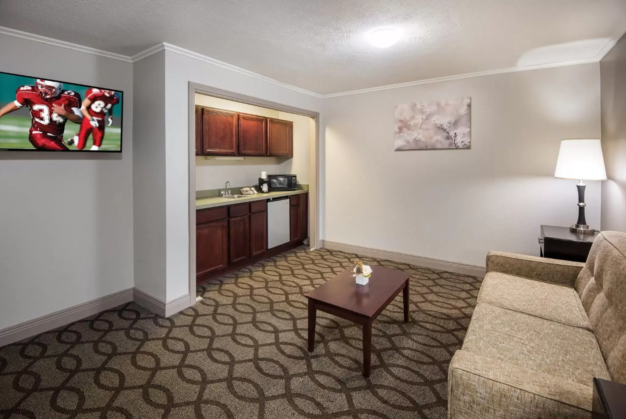 Bedroom, Seating Area in Red Roof Inn & Suites Lexington - Hamburg