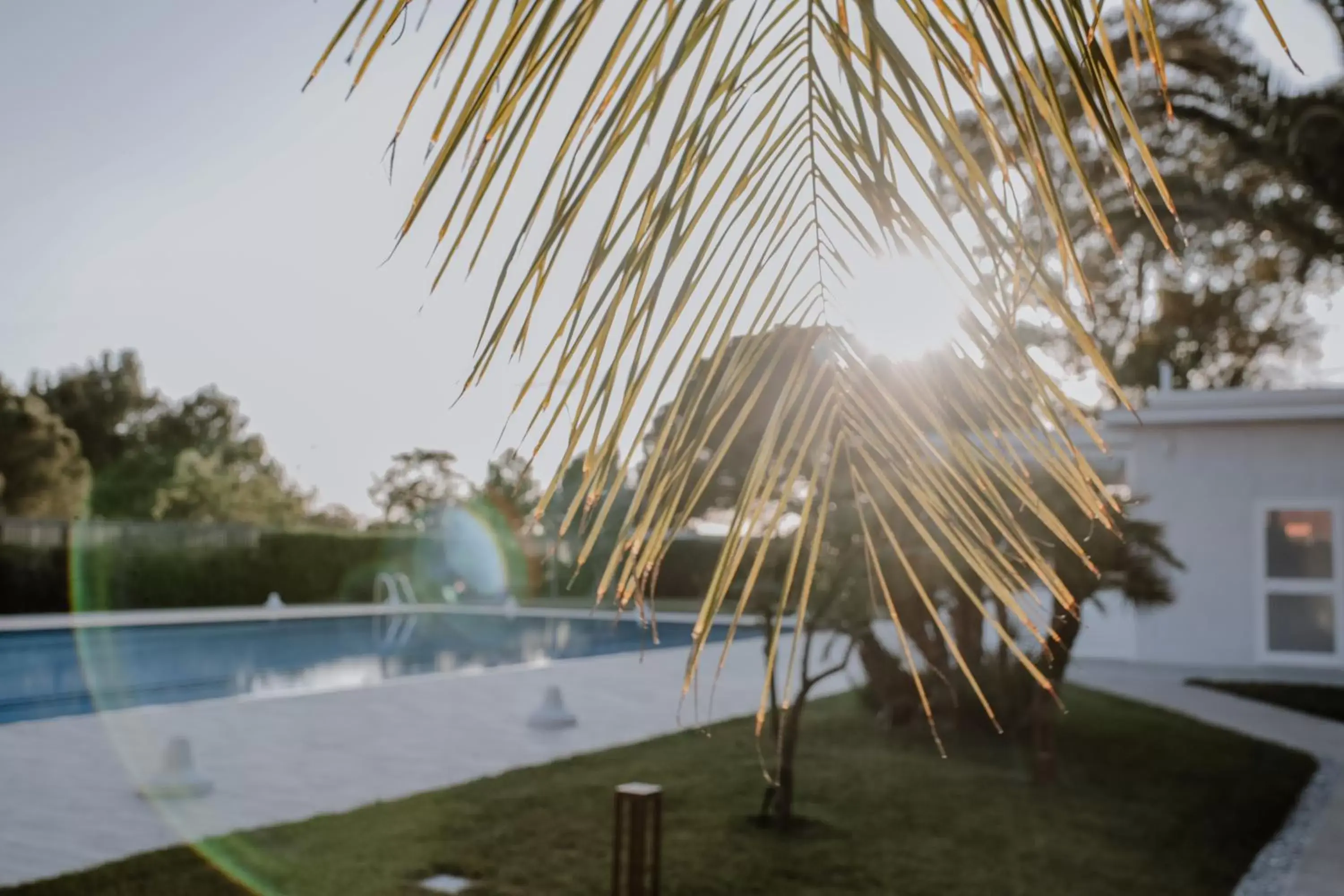 Garden, Swimming Pool in SALAPIA SALIS RESORT